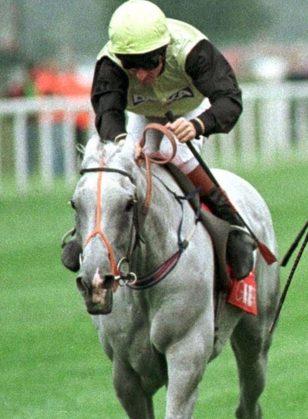 Further Flight was a staying star for Barry Hills 