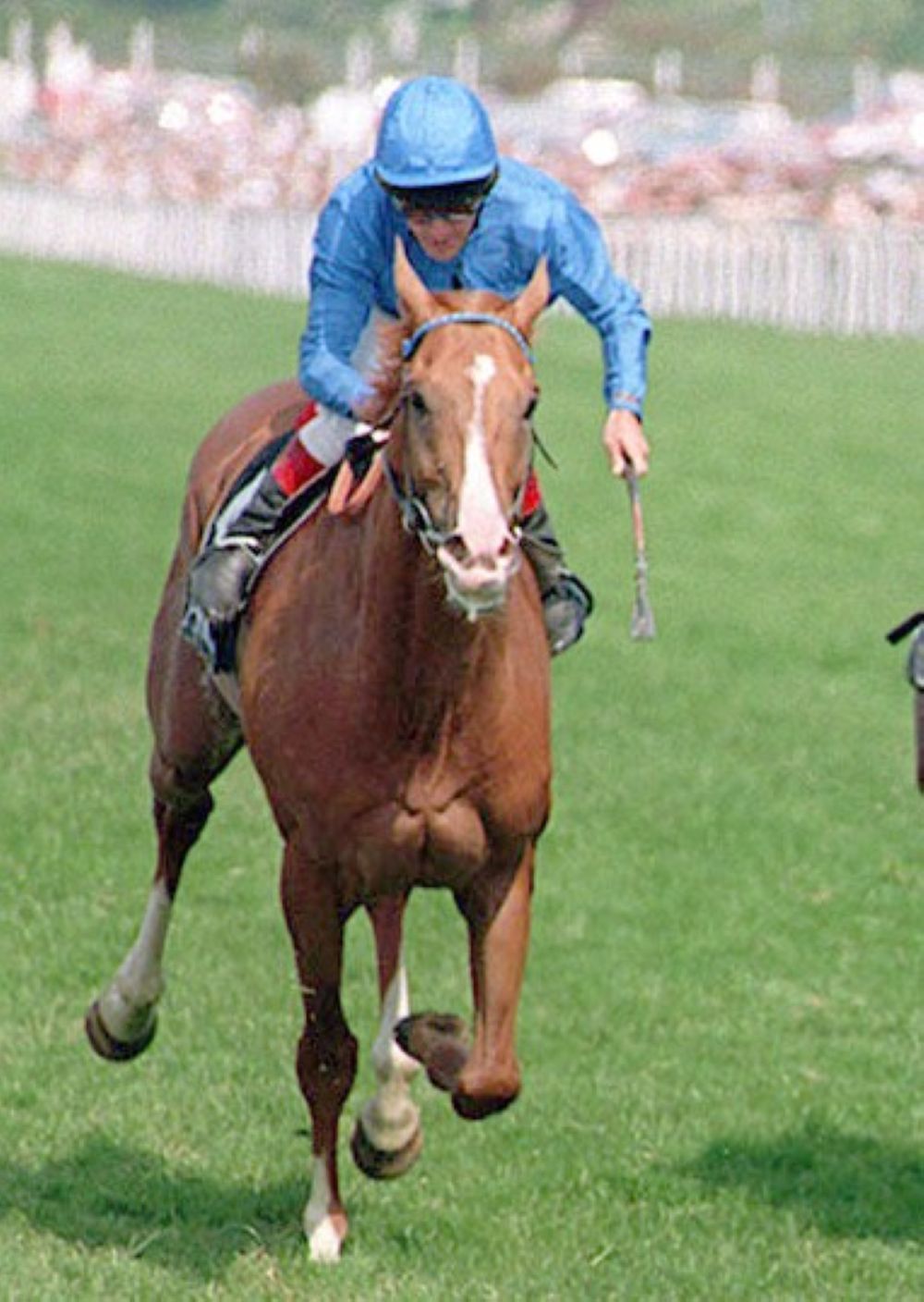 Moonax won a St Leger for Hills