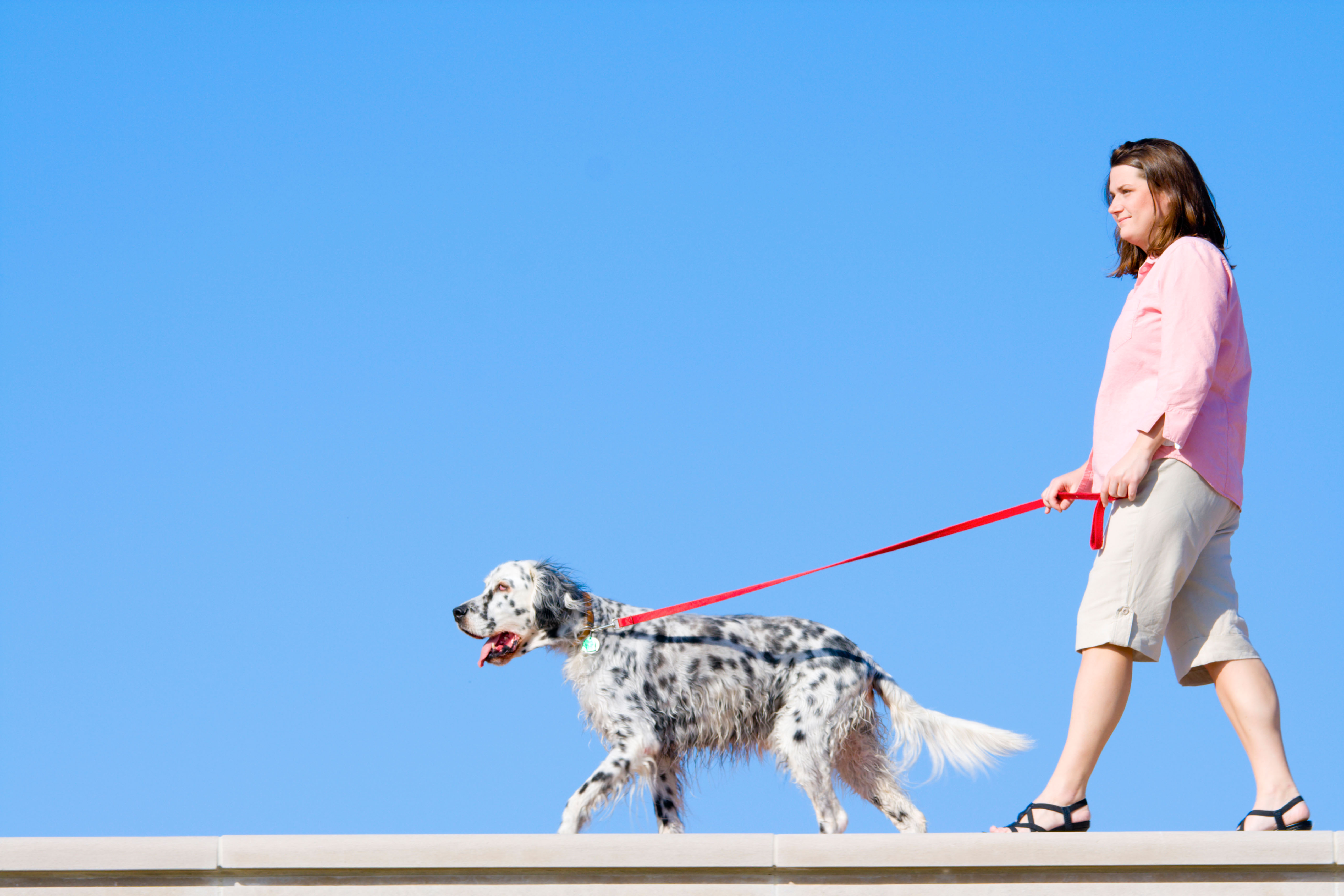 A woman walking a dog