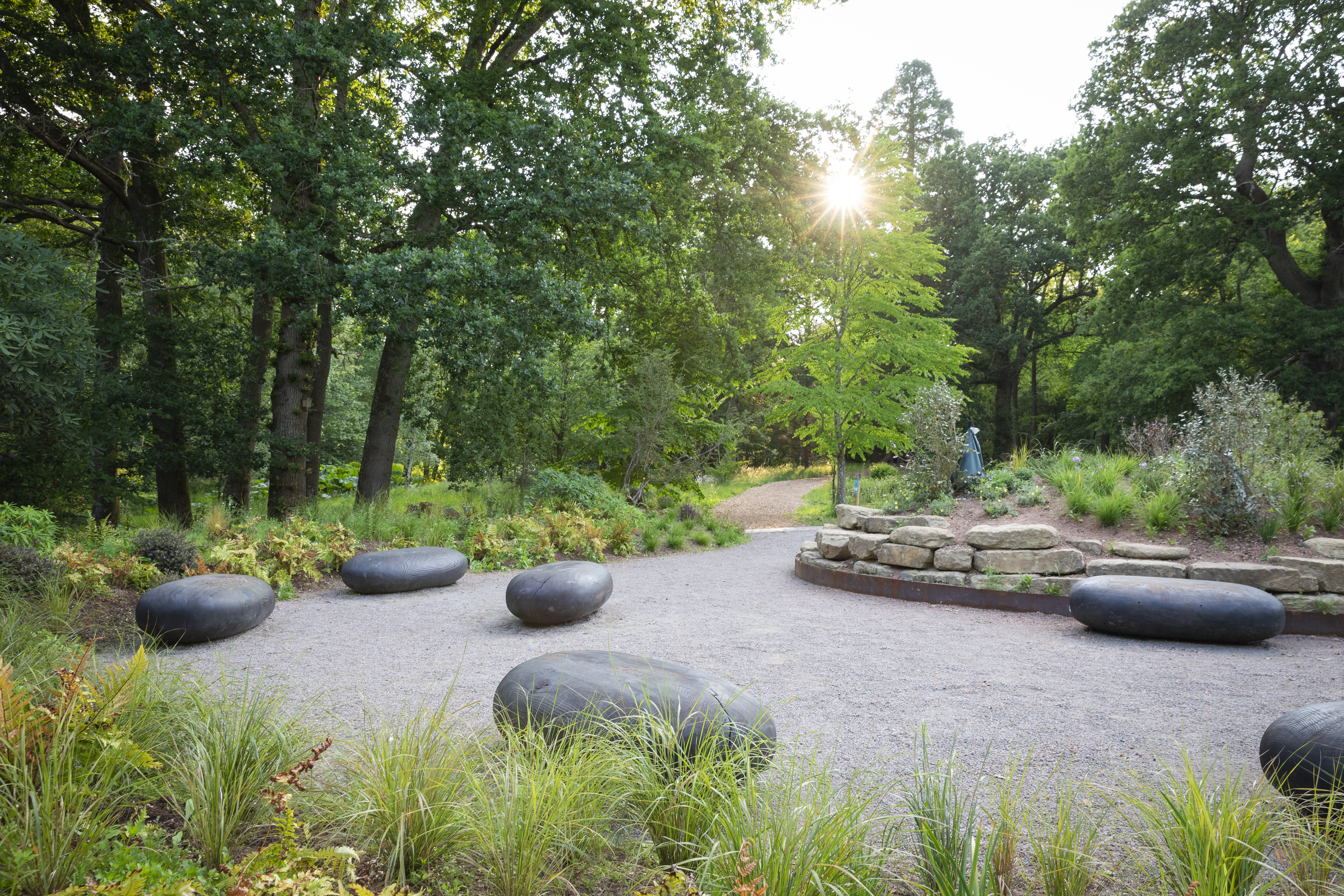 A gravel area with large smooth rocks sits within new planting and established trees