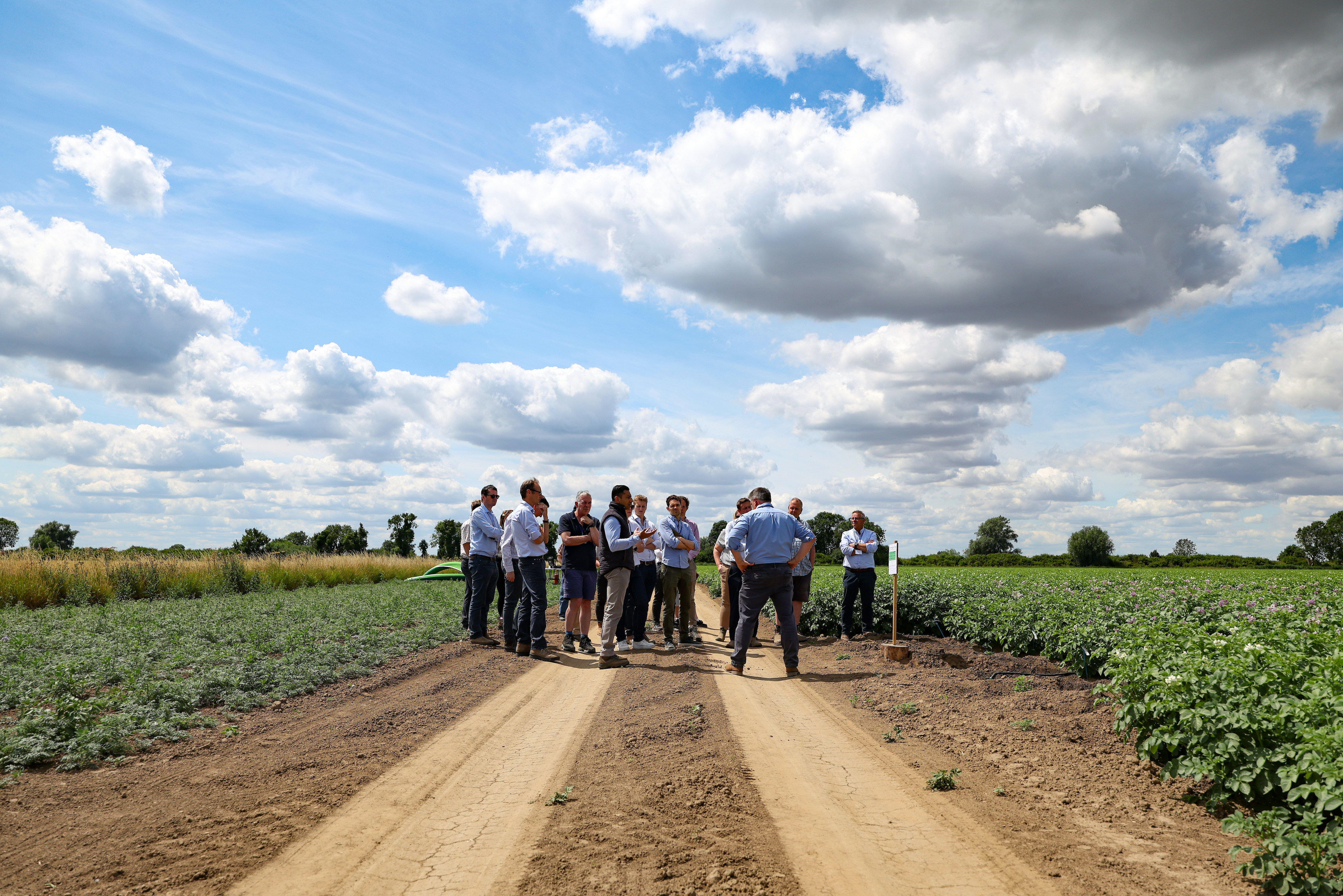 Tesco suppliers and farmers tour Langrick Farm 