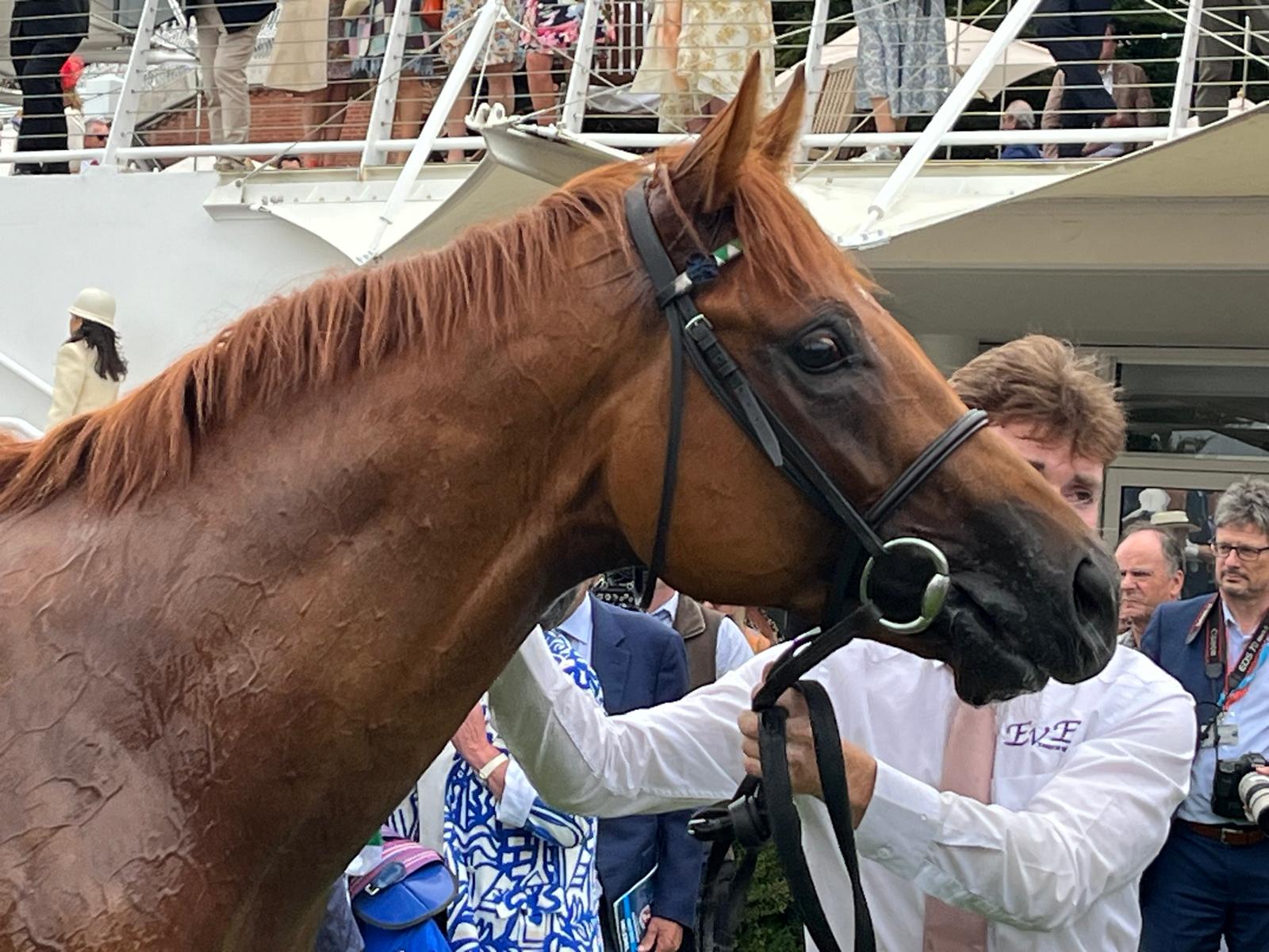 Zavateri looks the part