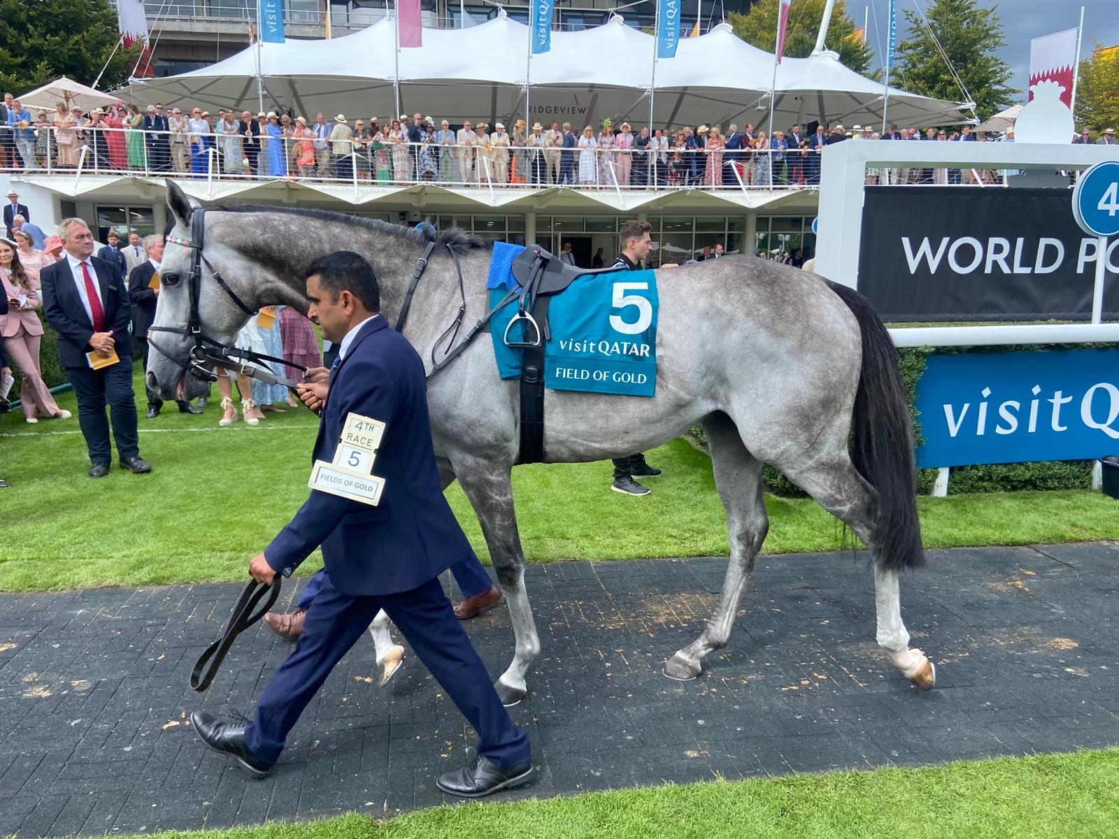 Field Of Gold in the Goodwood parade ring