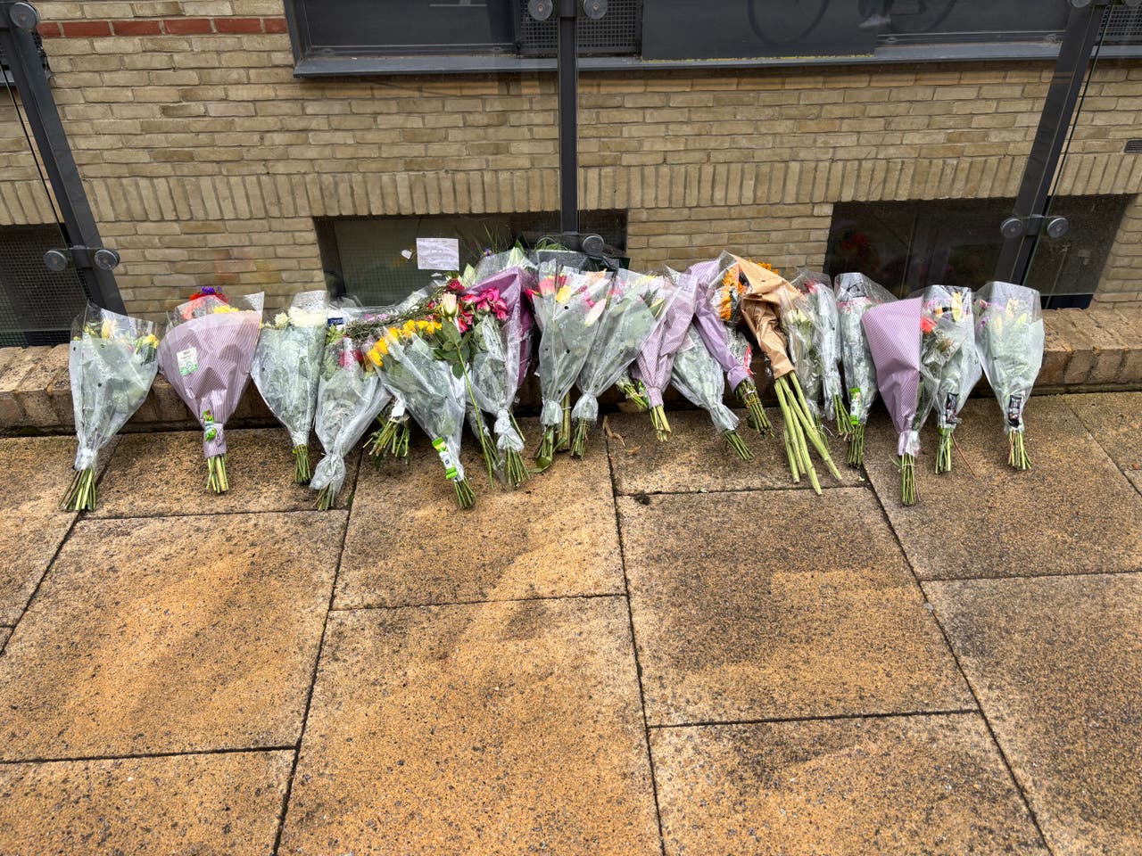 Man charged with murder of Saudi student who was stabbed in Cambridge ...