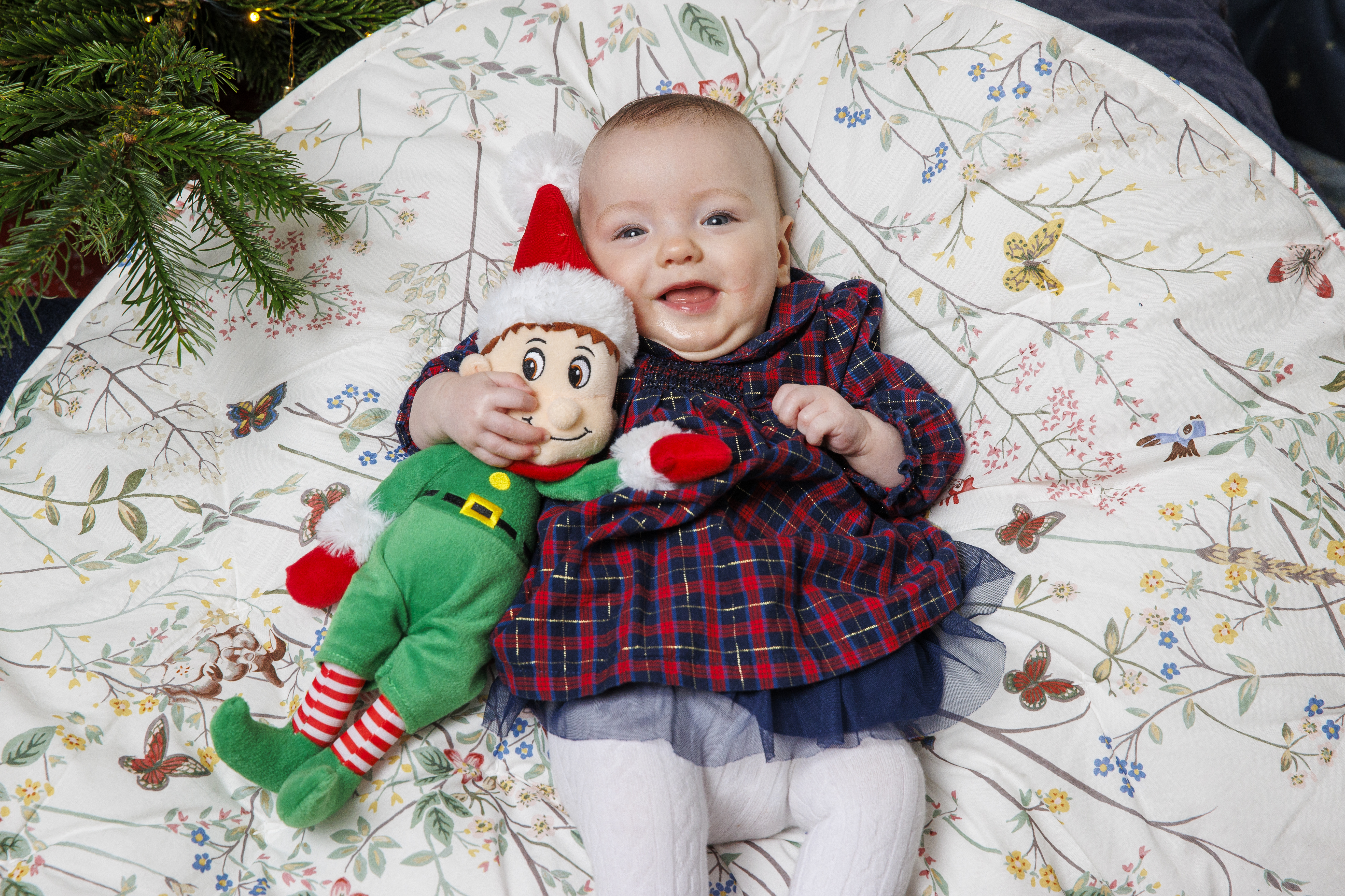 Fiadh lying down and holding a cuddly Christmas elf
