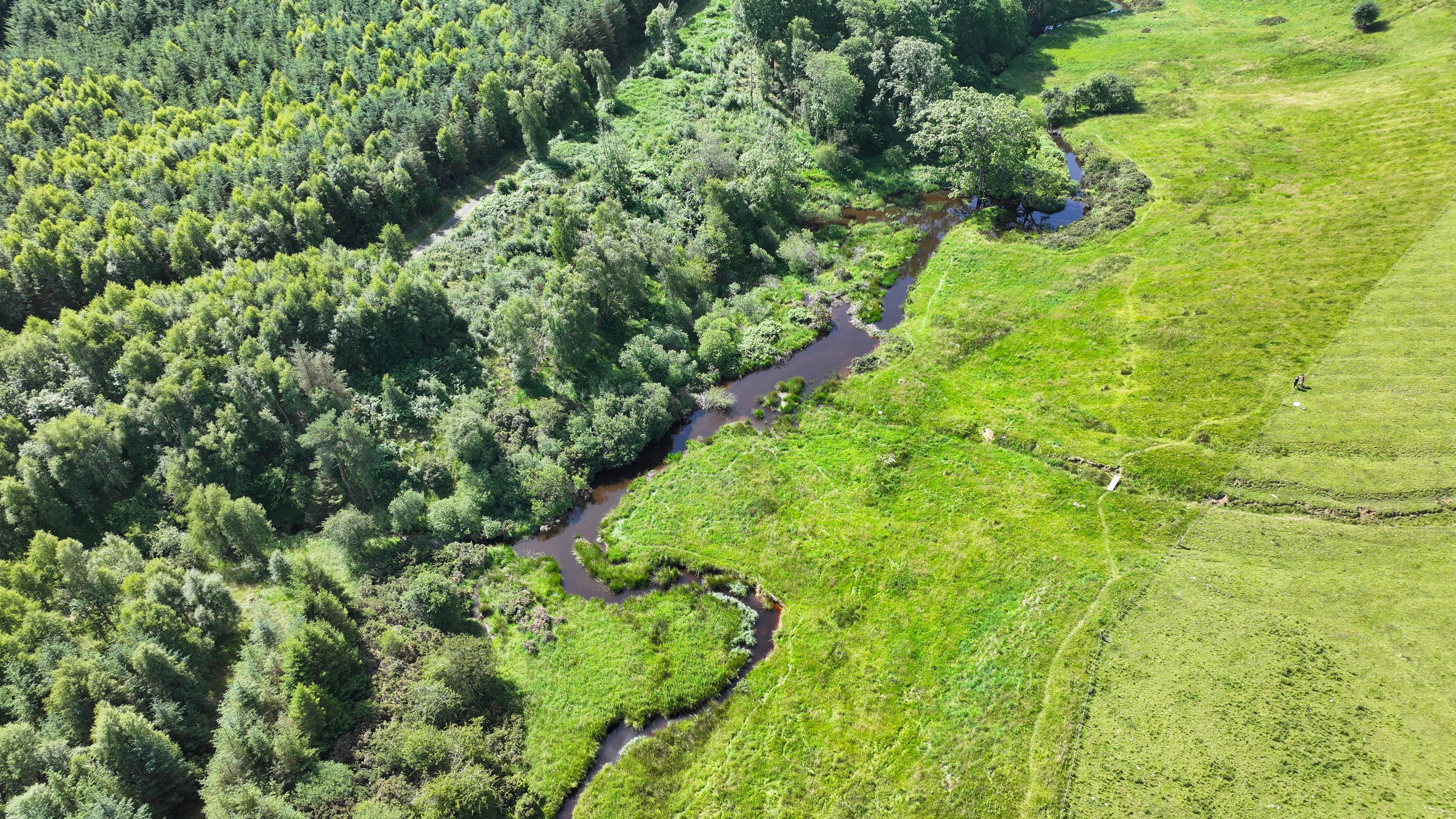 Aerial view of beaver enclosure showing wiggling river, lush vegetation and trees