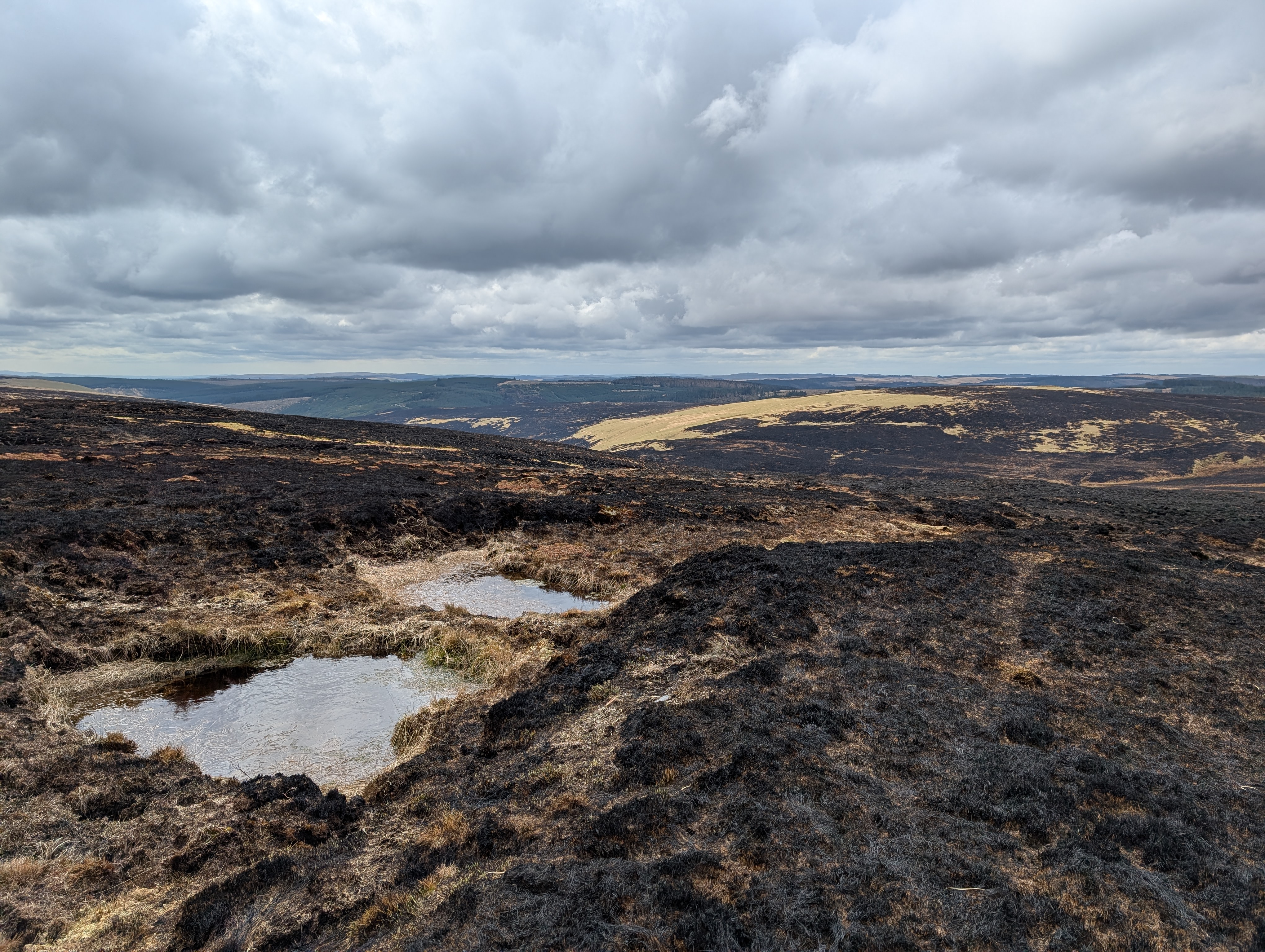 View of a burned landscape following a huge wildfire