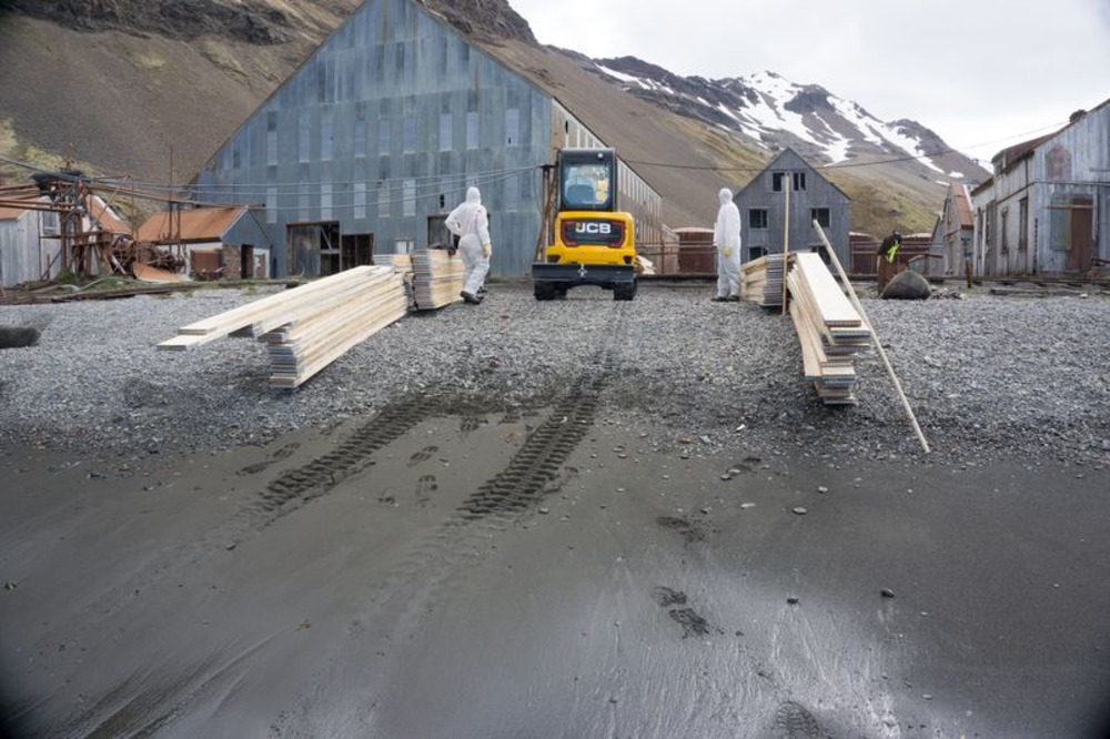 Piles of timber on the ground, next to two people wearing protective clothing