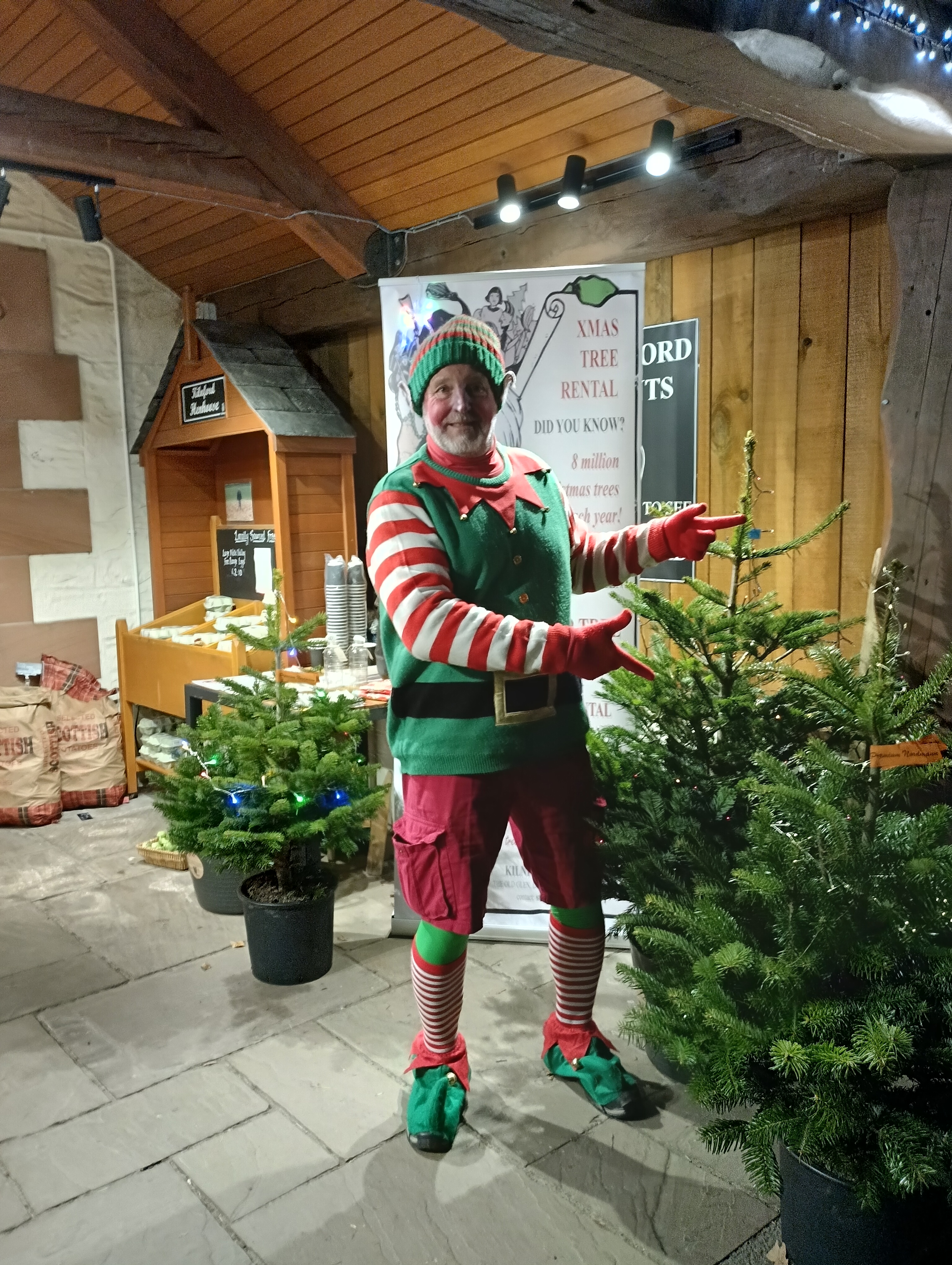 Steve Pearman dressed as an elf, pointing at Christmas trees