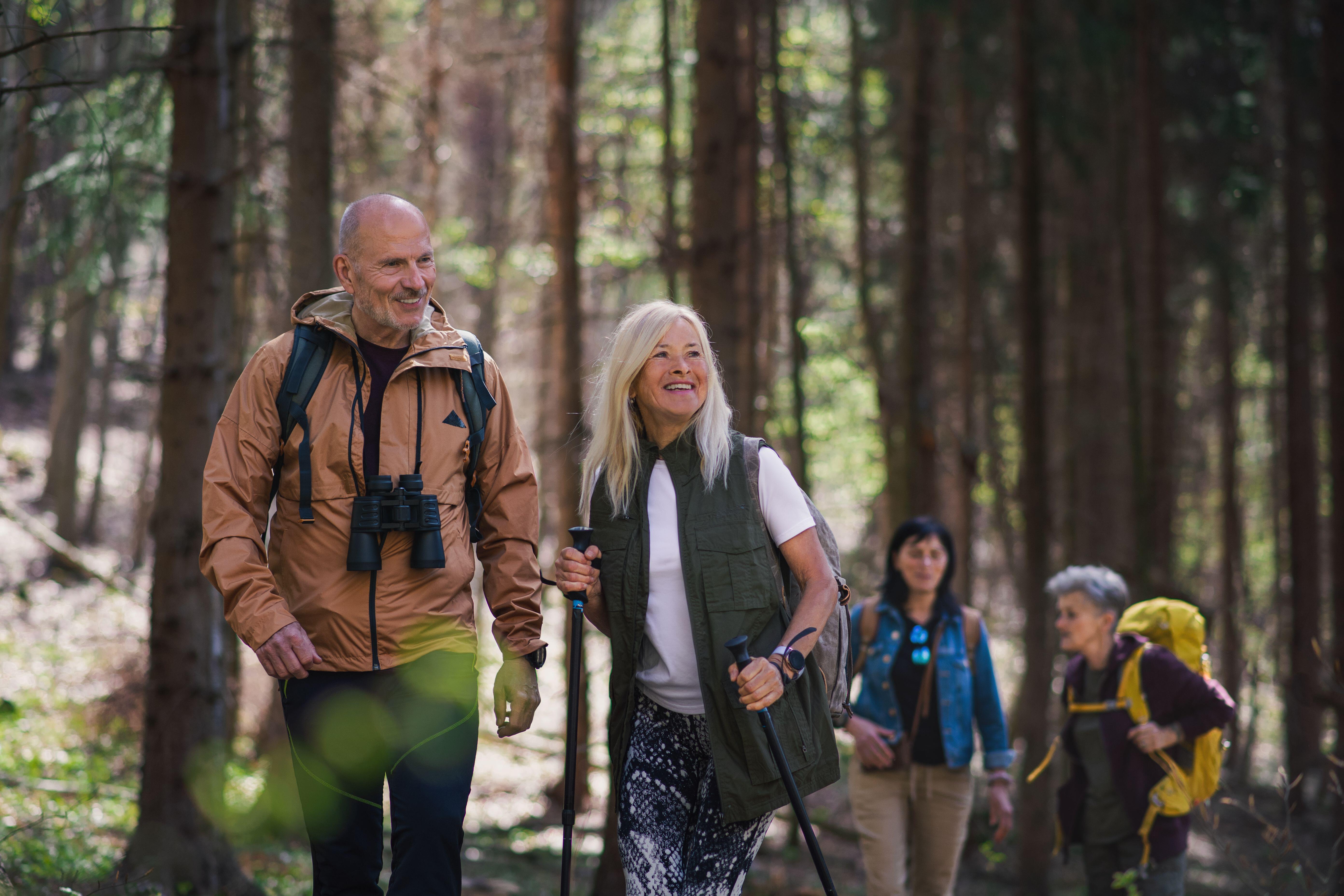 Group of seniors hikers outdoors in forest in nature, walking.