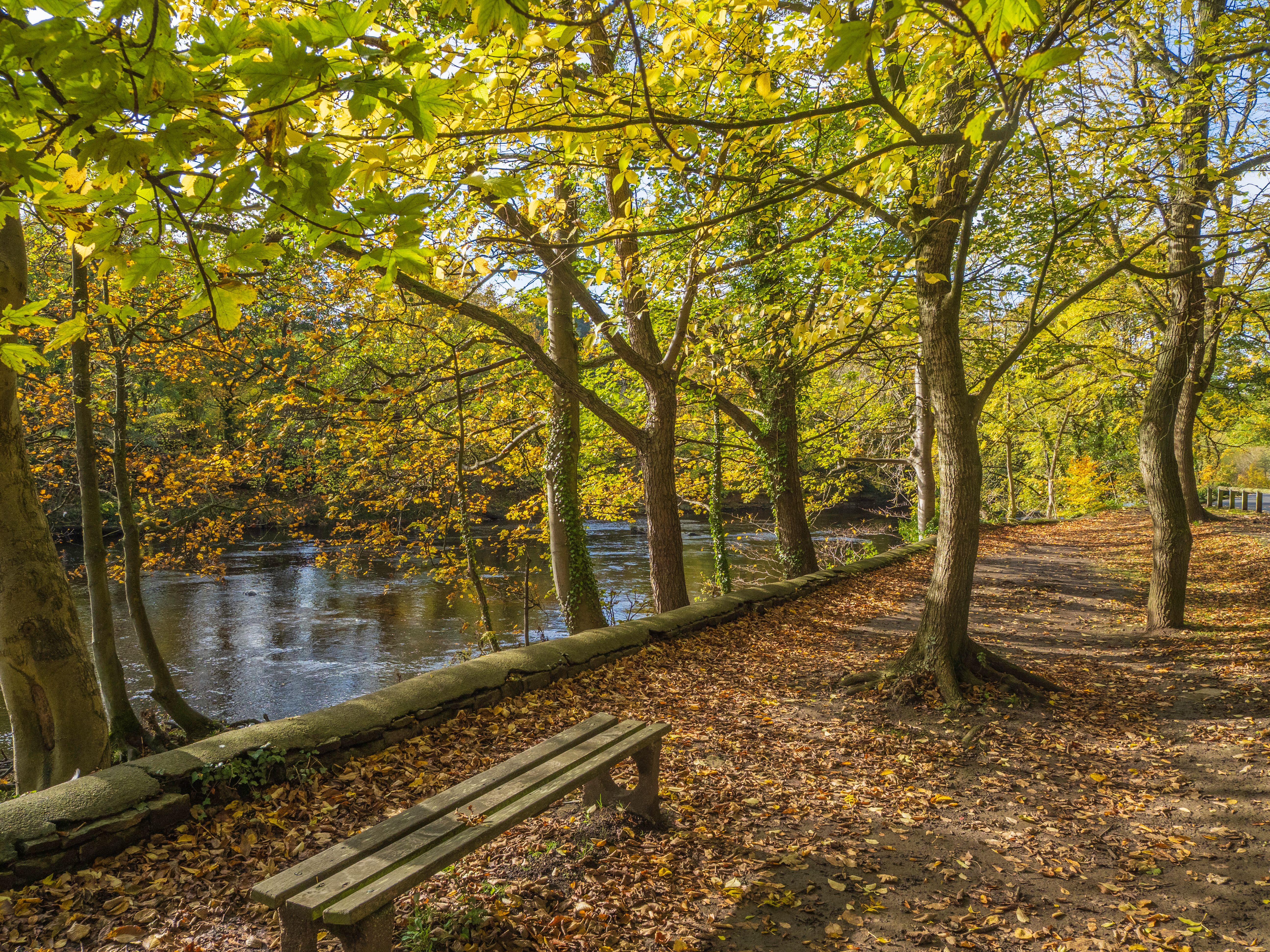 The River Swale in Richmond, north Yorkshire