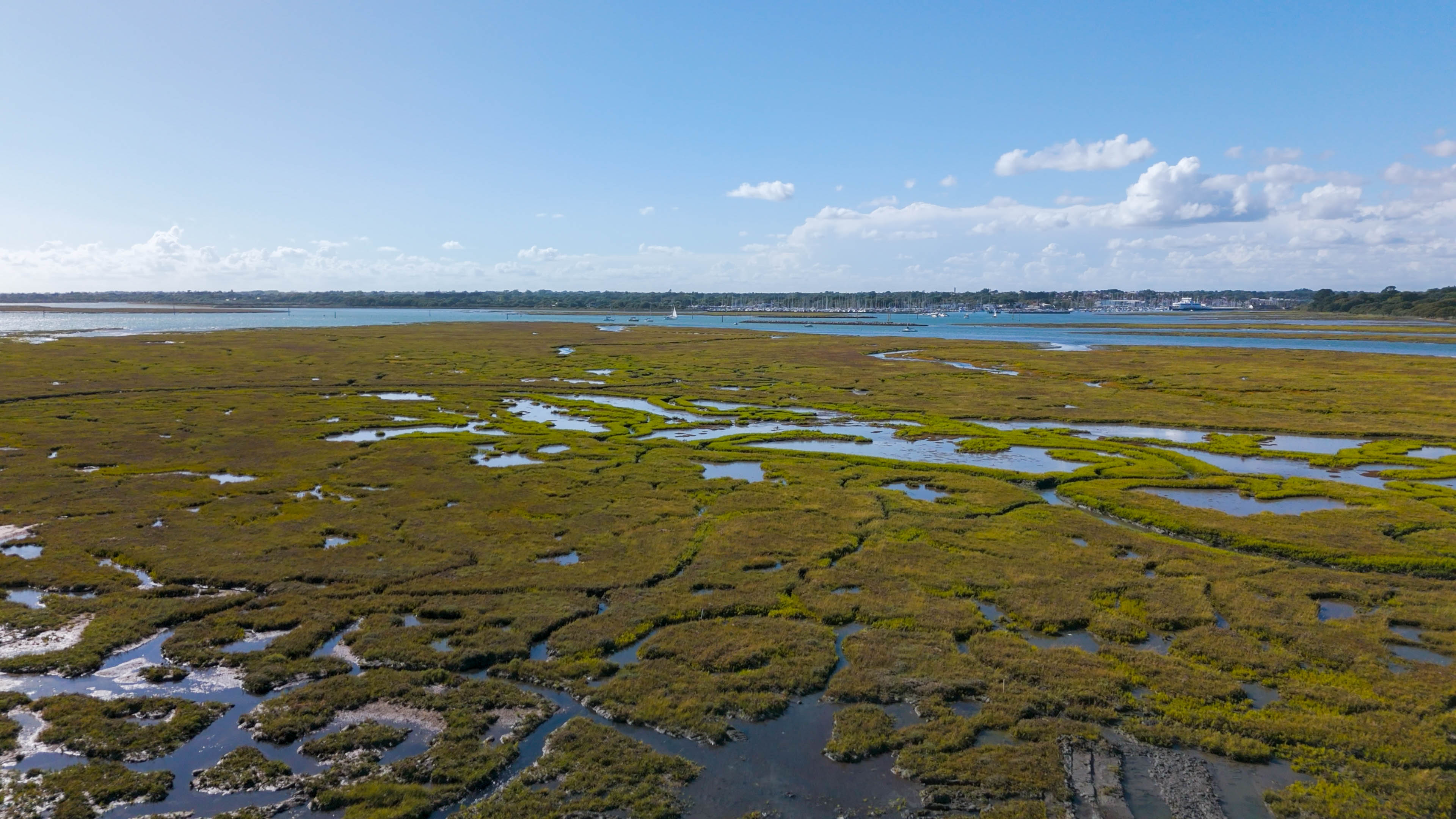 Aerial view of saltmarsh, with vegetation interspersed with water stretching away to the horizon