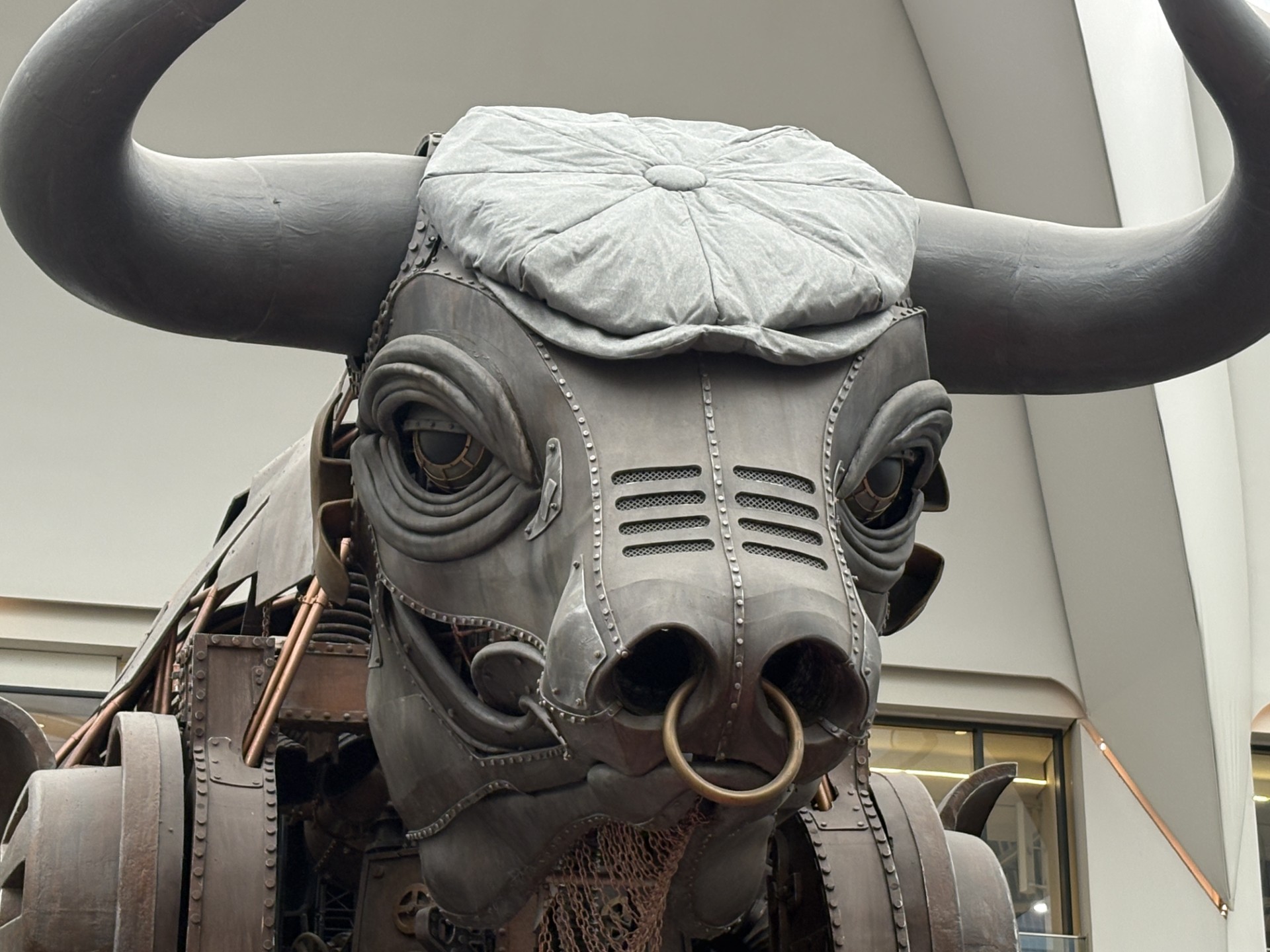 A close-up of the head of Ozzy the Bull, wearing a flat cap