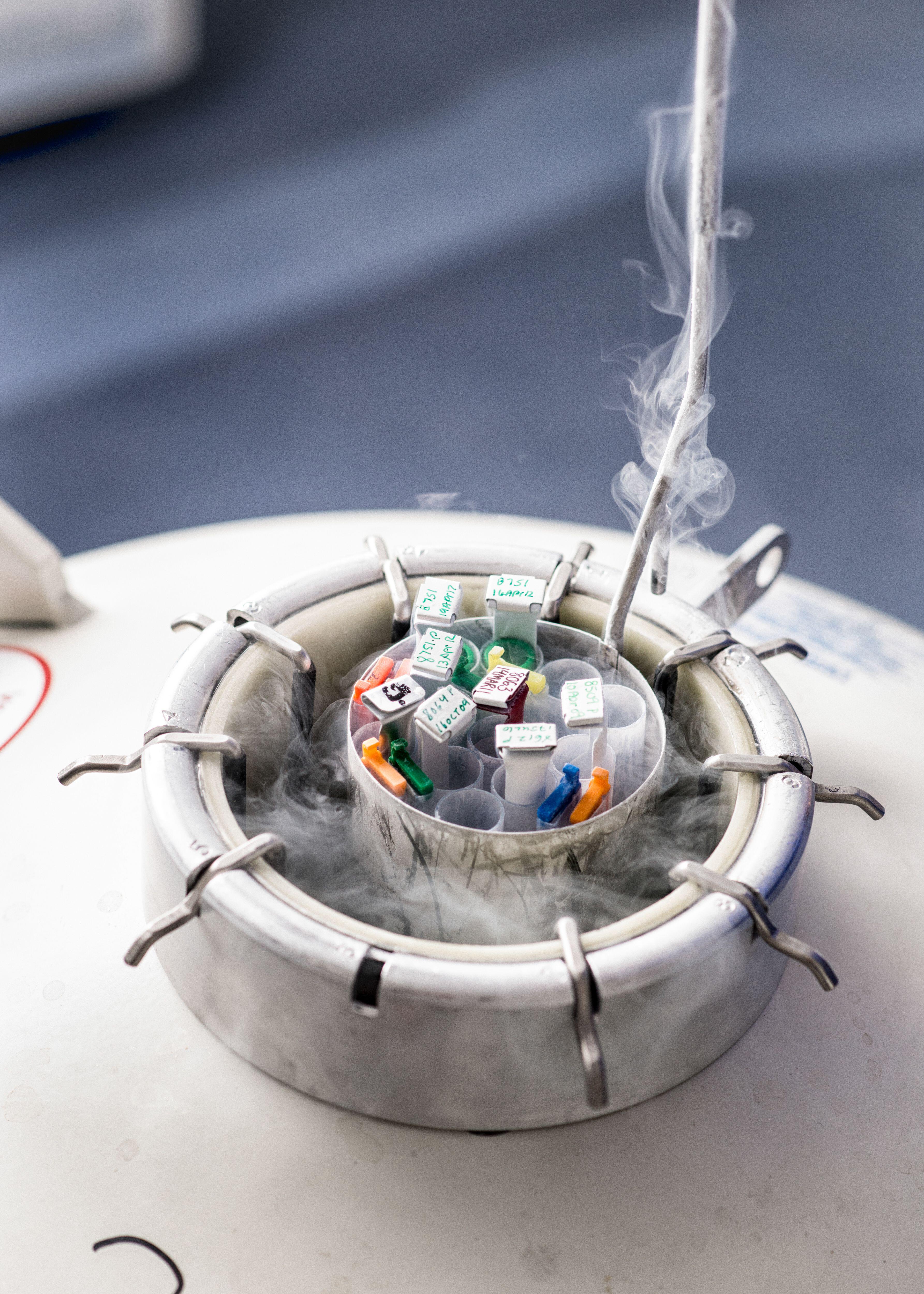 Open cryogenic tank containing frozen egg cells