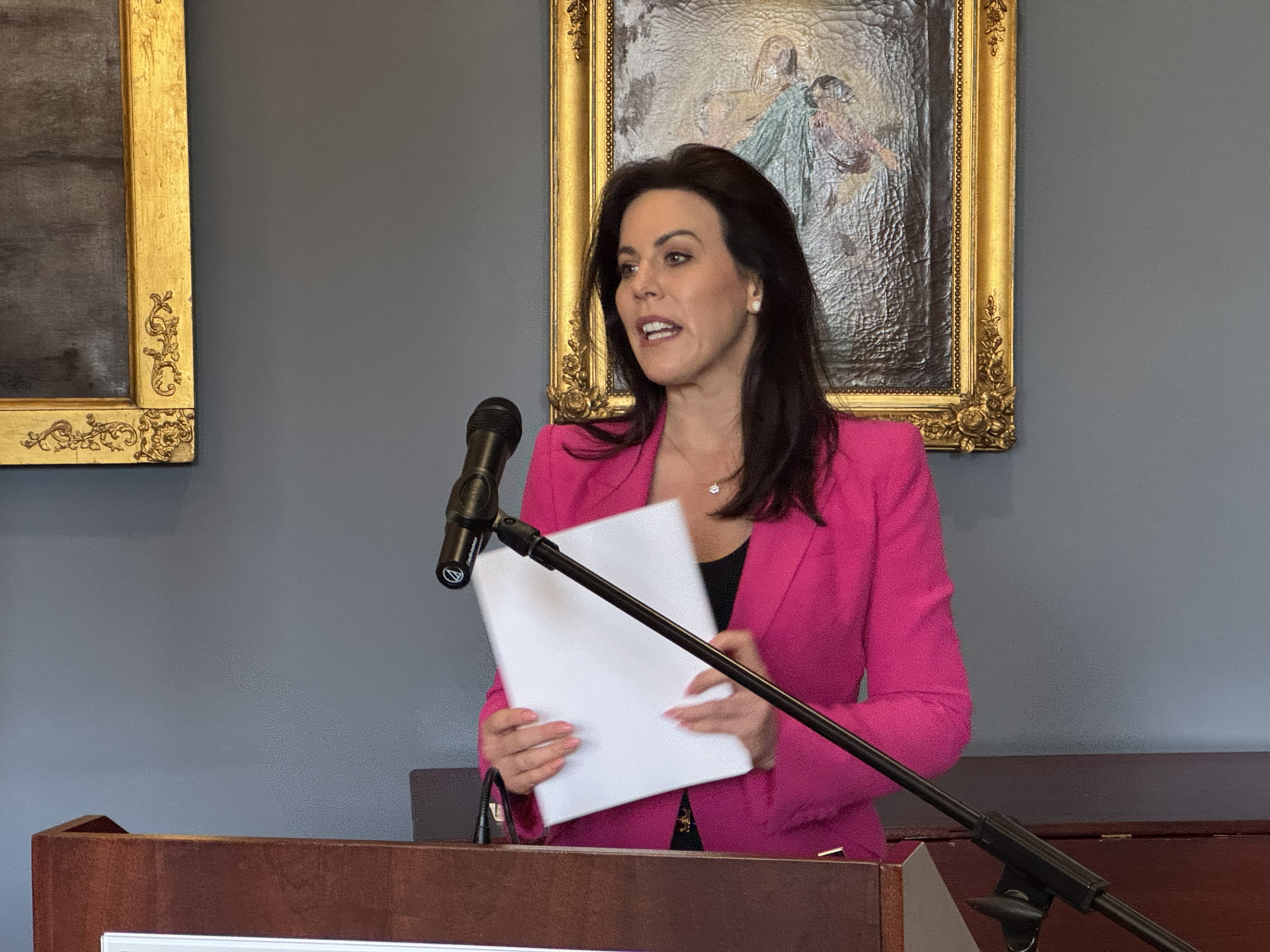 Jennifer Carroll MacNeill Minister for Health of Ireland