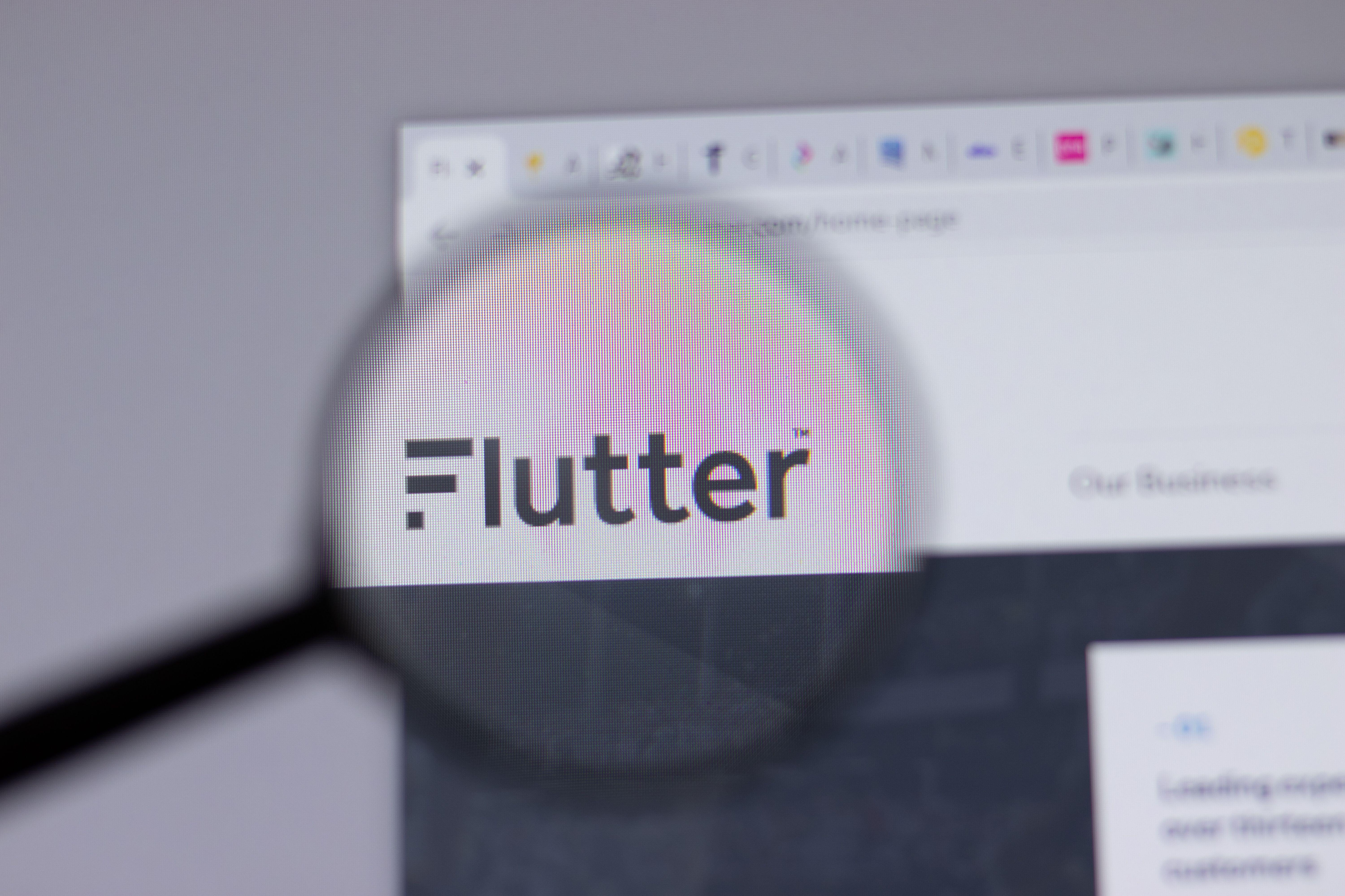 Flutter Entertainment company logo on a website