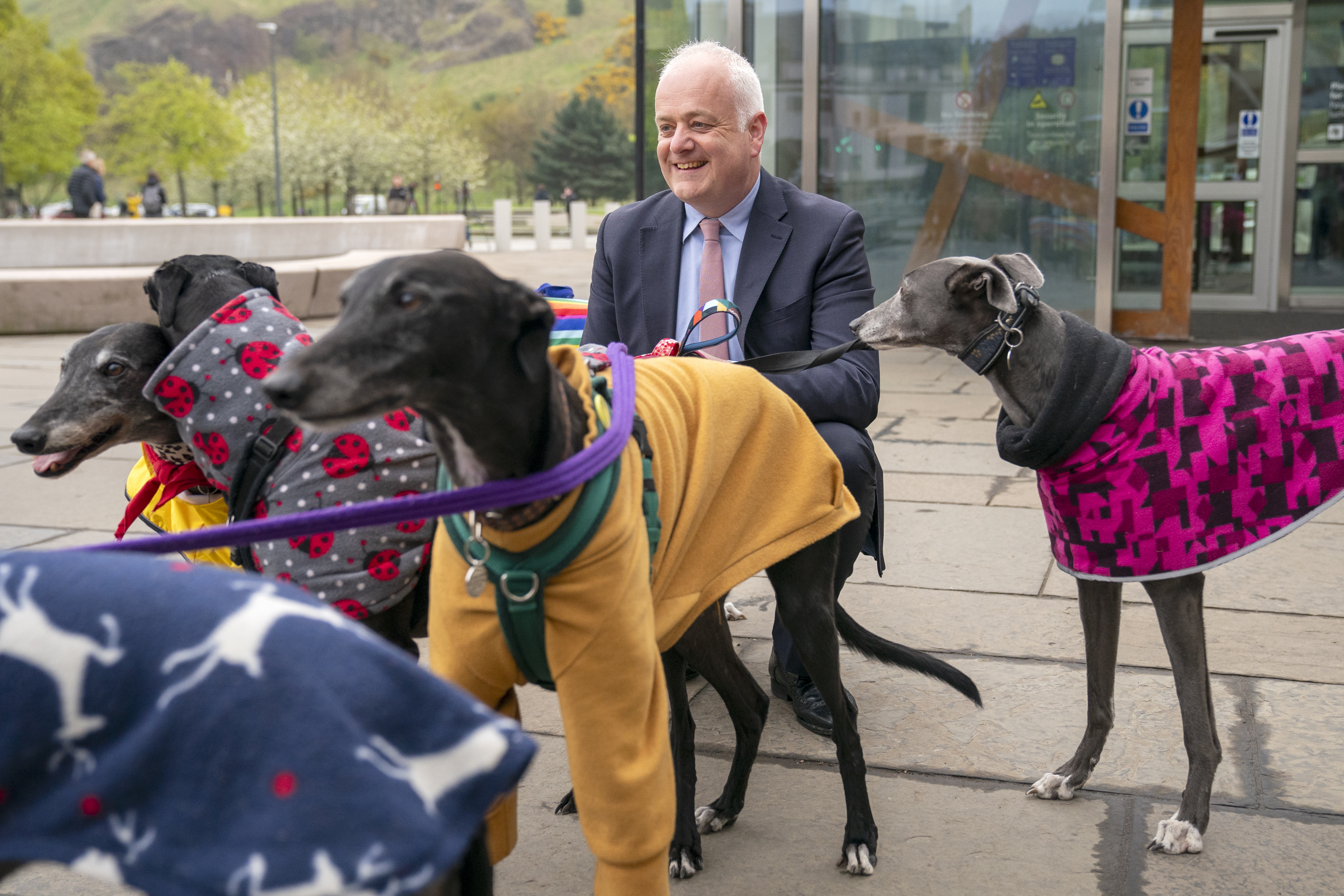 Mark Ruskell smiling while outside the Scottish Parliament with a number of greyhounds, which are all wearing colourful coats