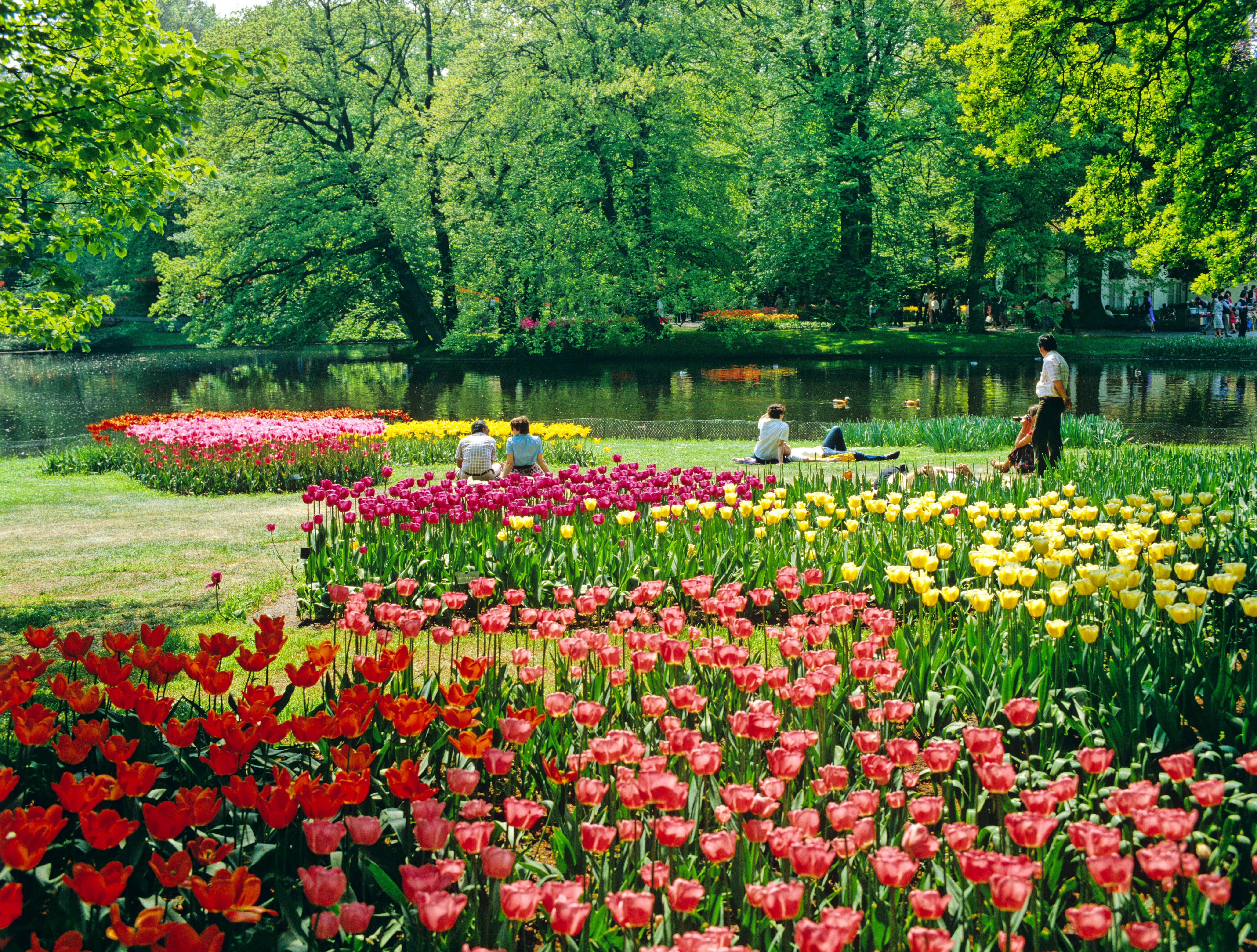 5 Wildflower Hotspots Bloom in Spring, Summer