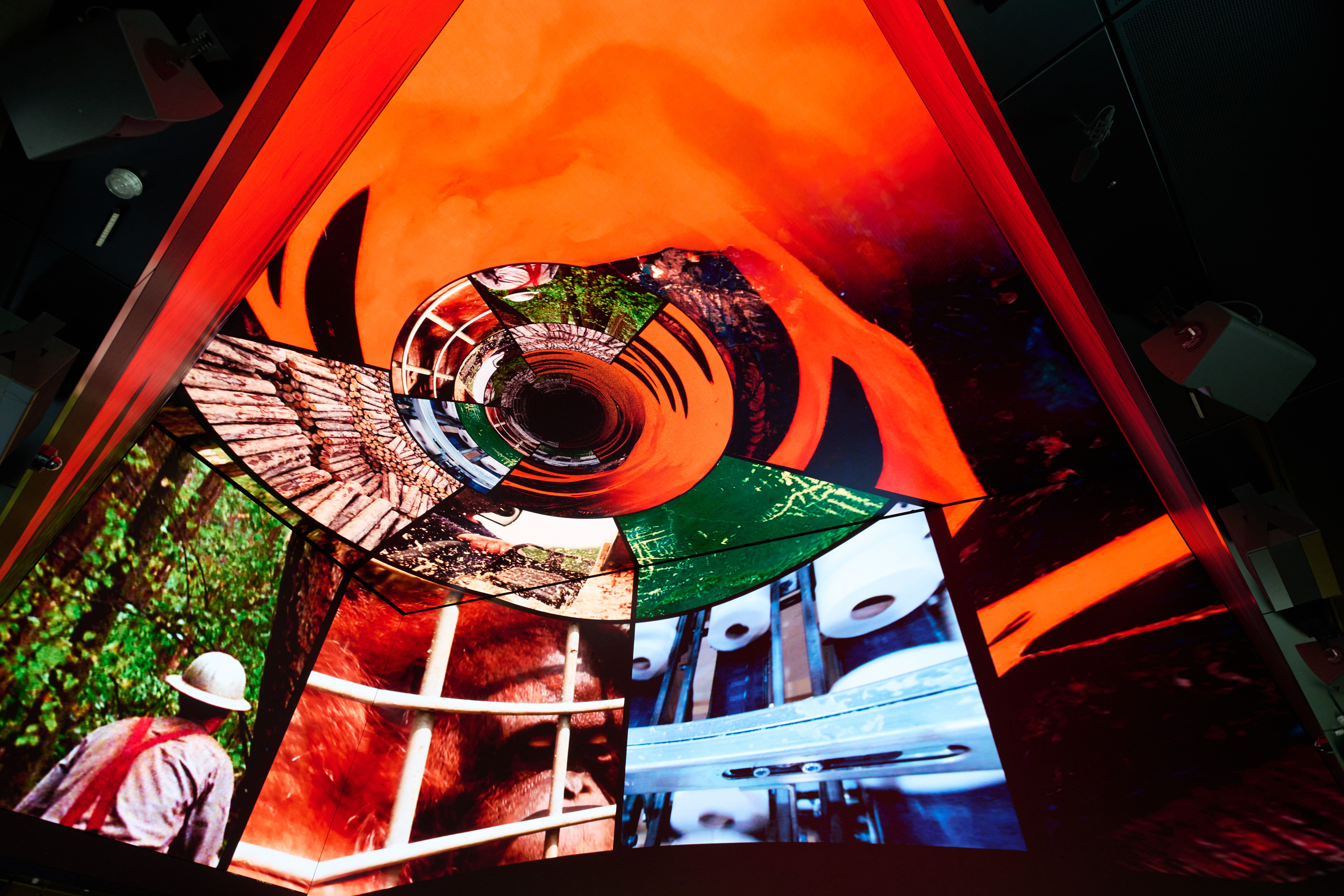 Our Story With David Attenborough