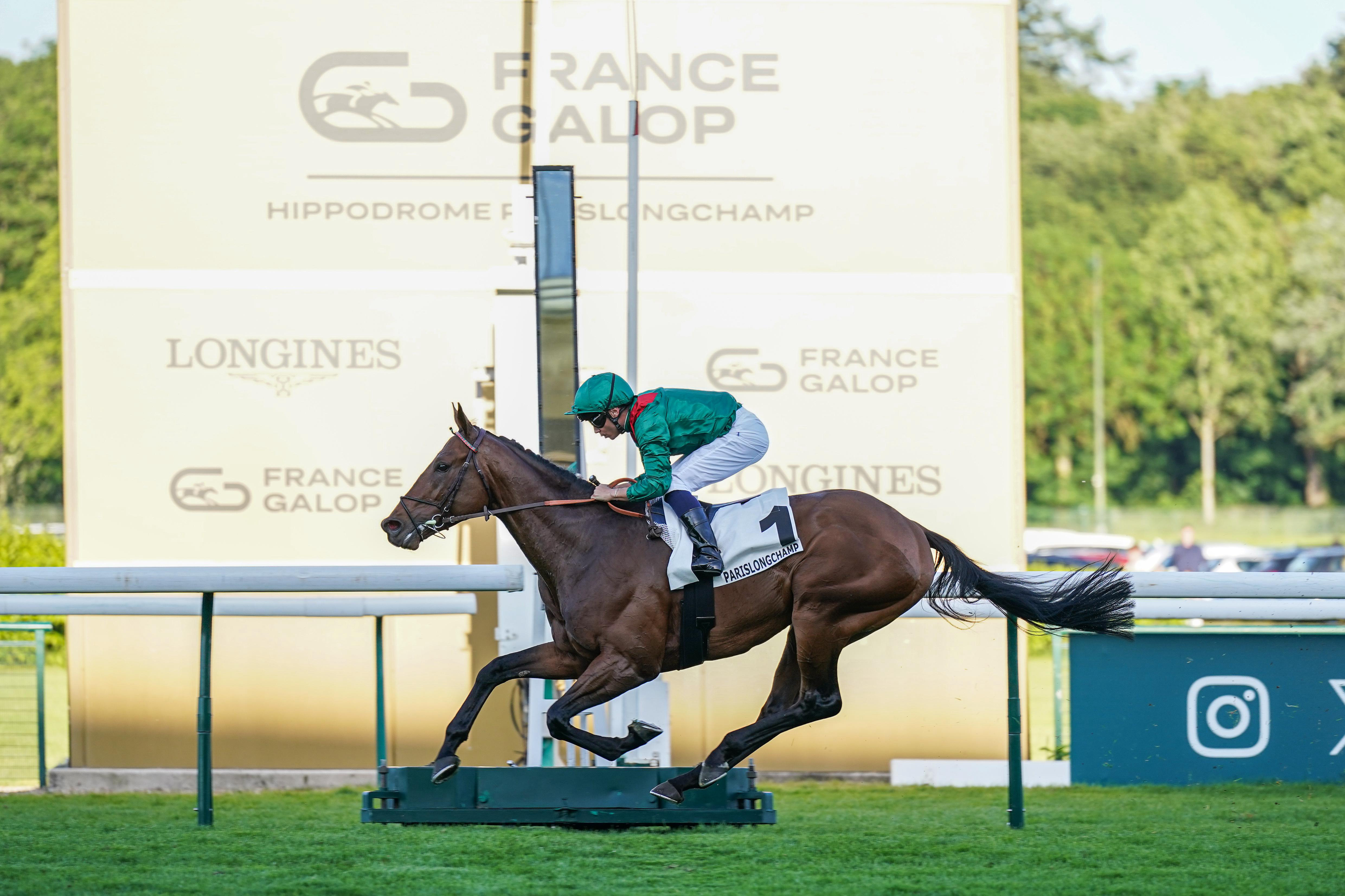 Daryz at ParisLongchamp