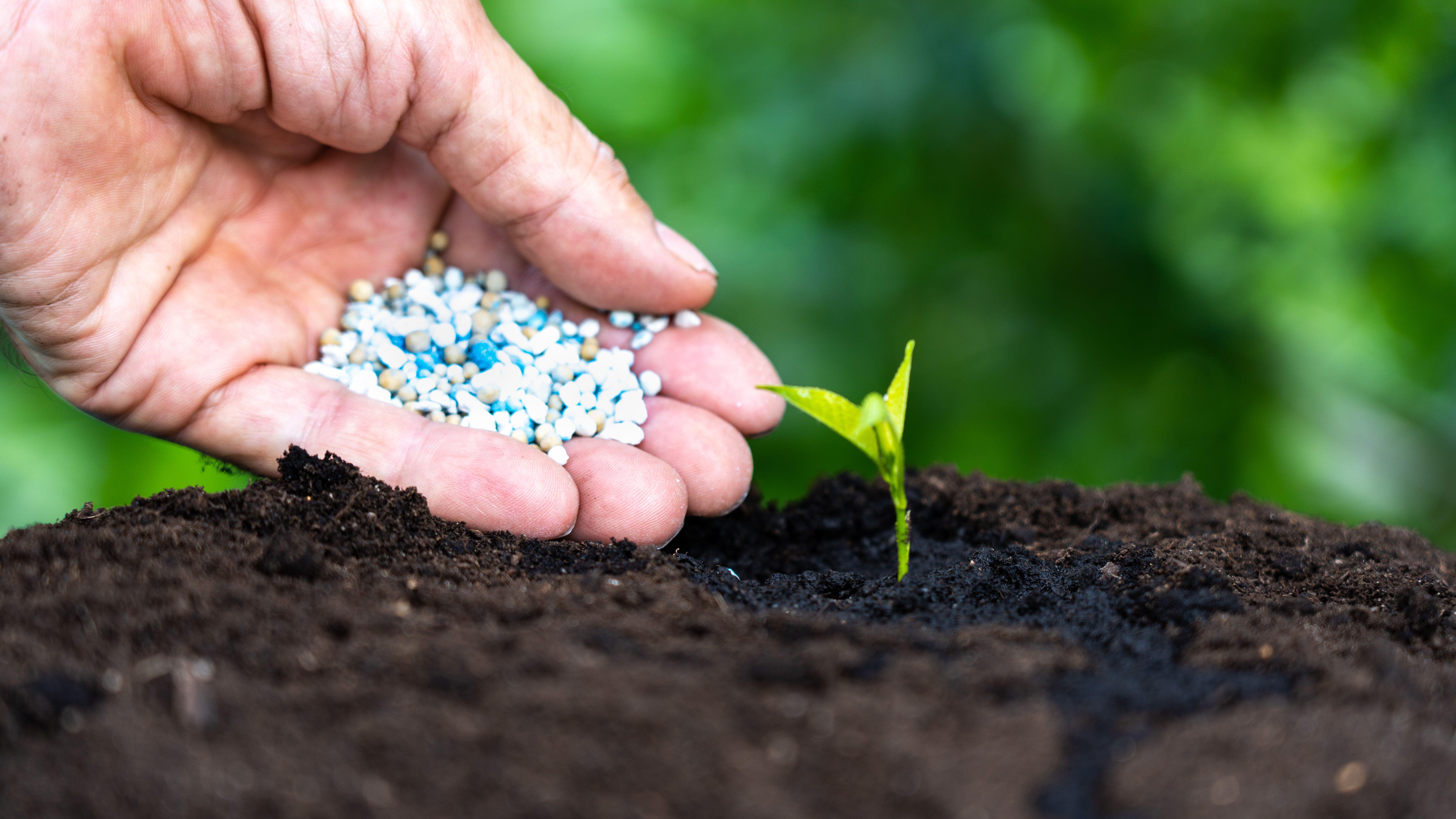 Plastic-coated fertiliser (Alamy/BA)