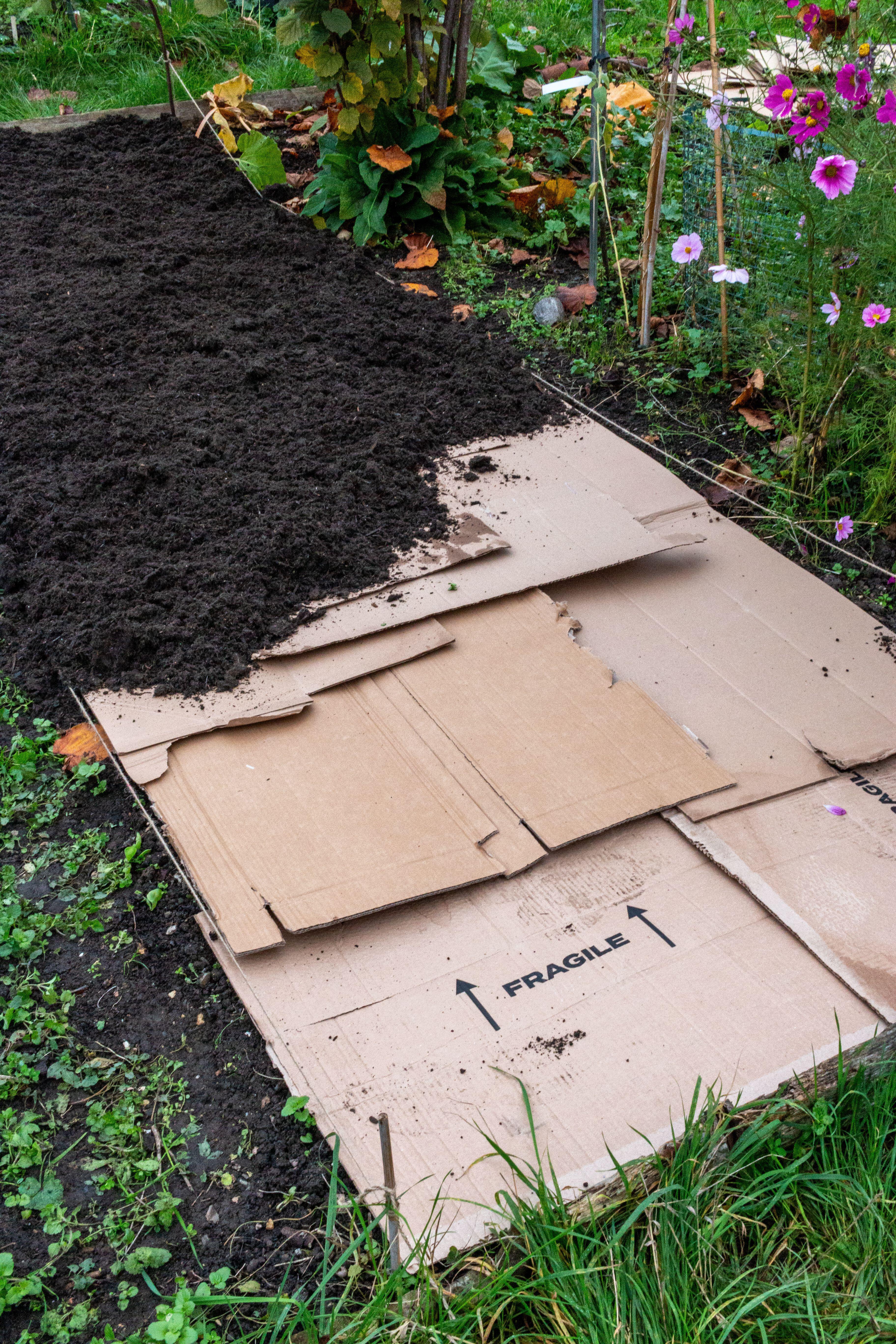 Cardboard on an allotment (Alamy/PA)
