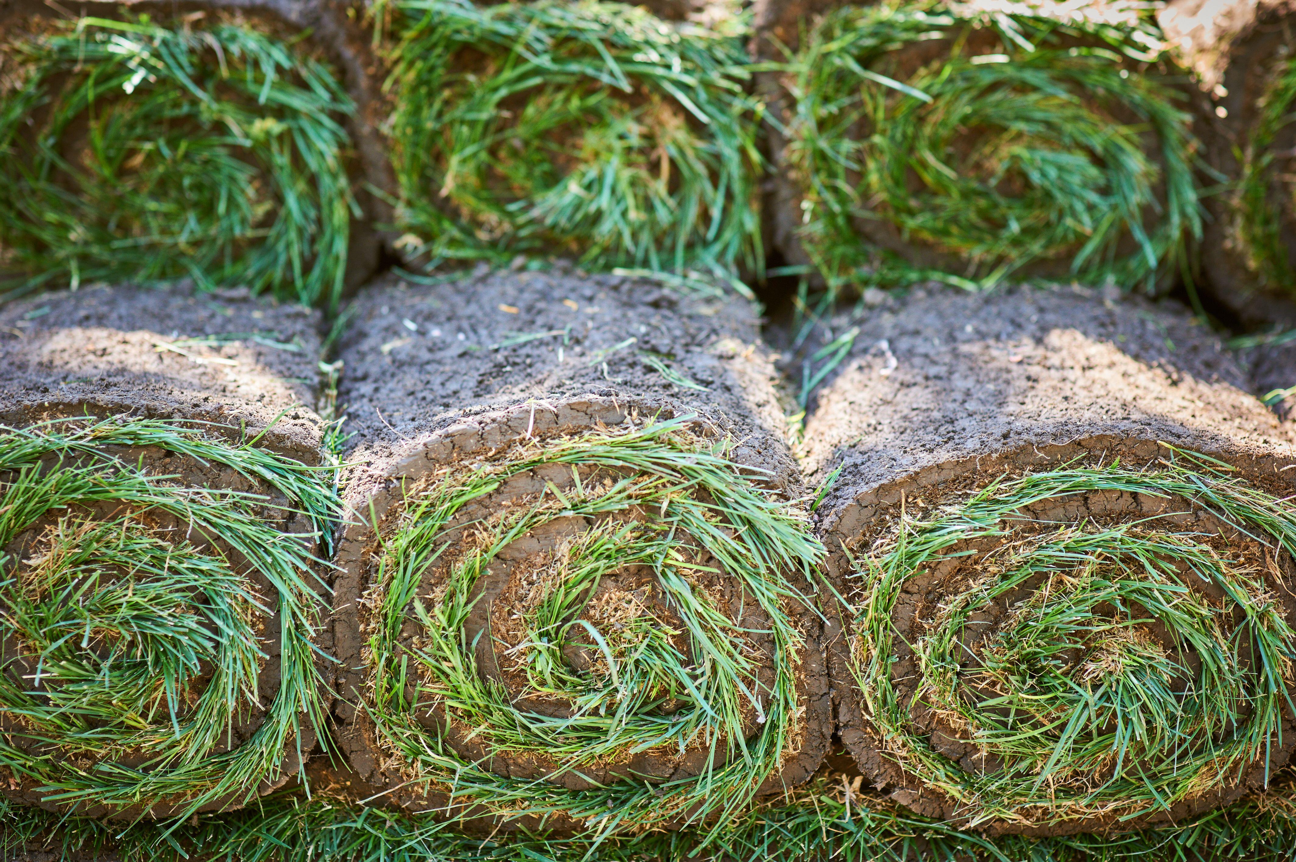 Stacked turf rolls (Alamy/PA)