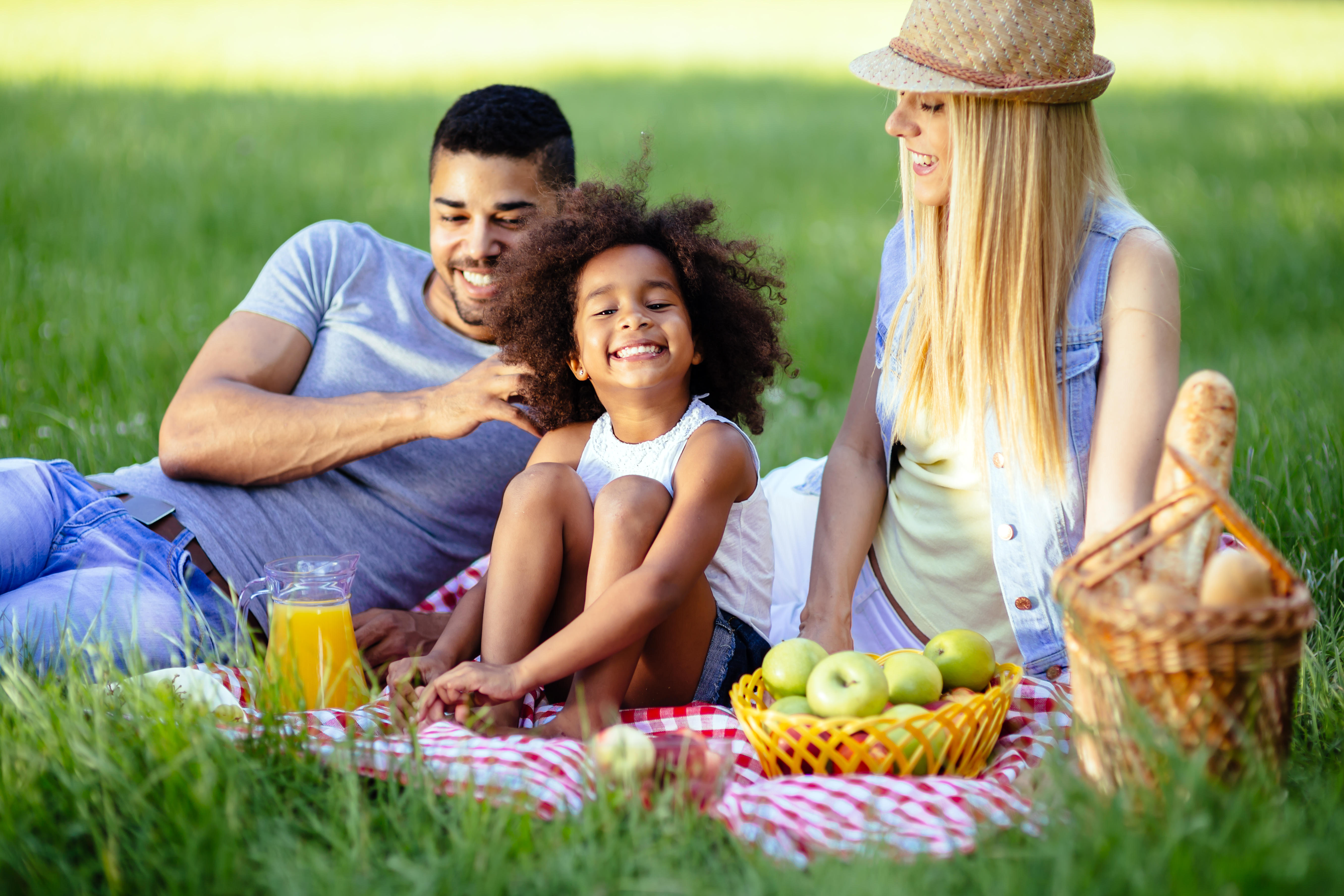 A family having a picnic