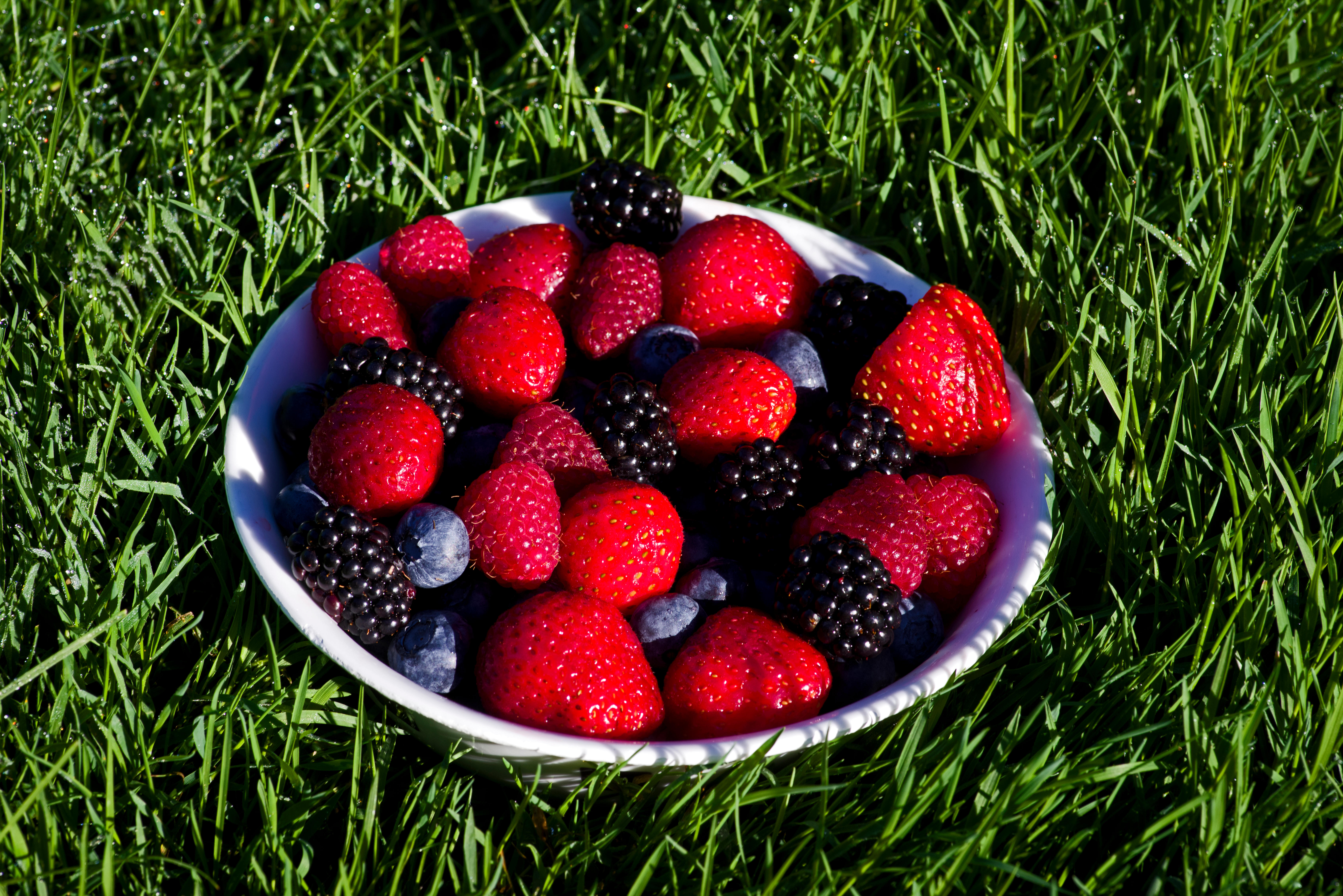 A bowl of berries on grass 