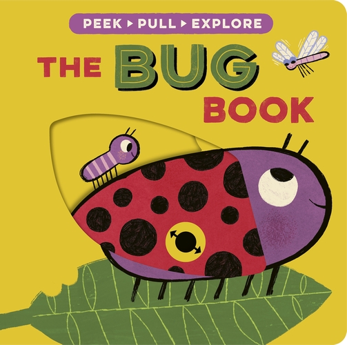 The Bug Book By Becky Davies, illustrated by Denis Angelov