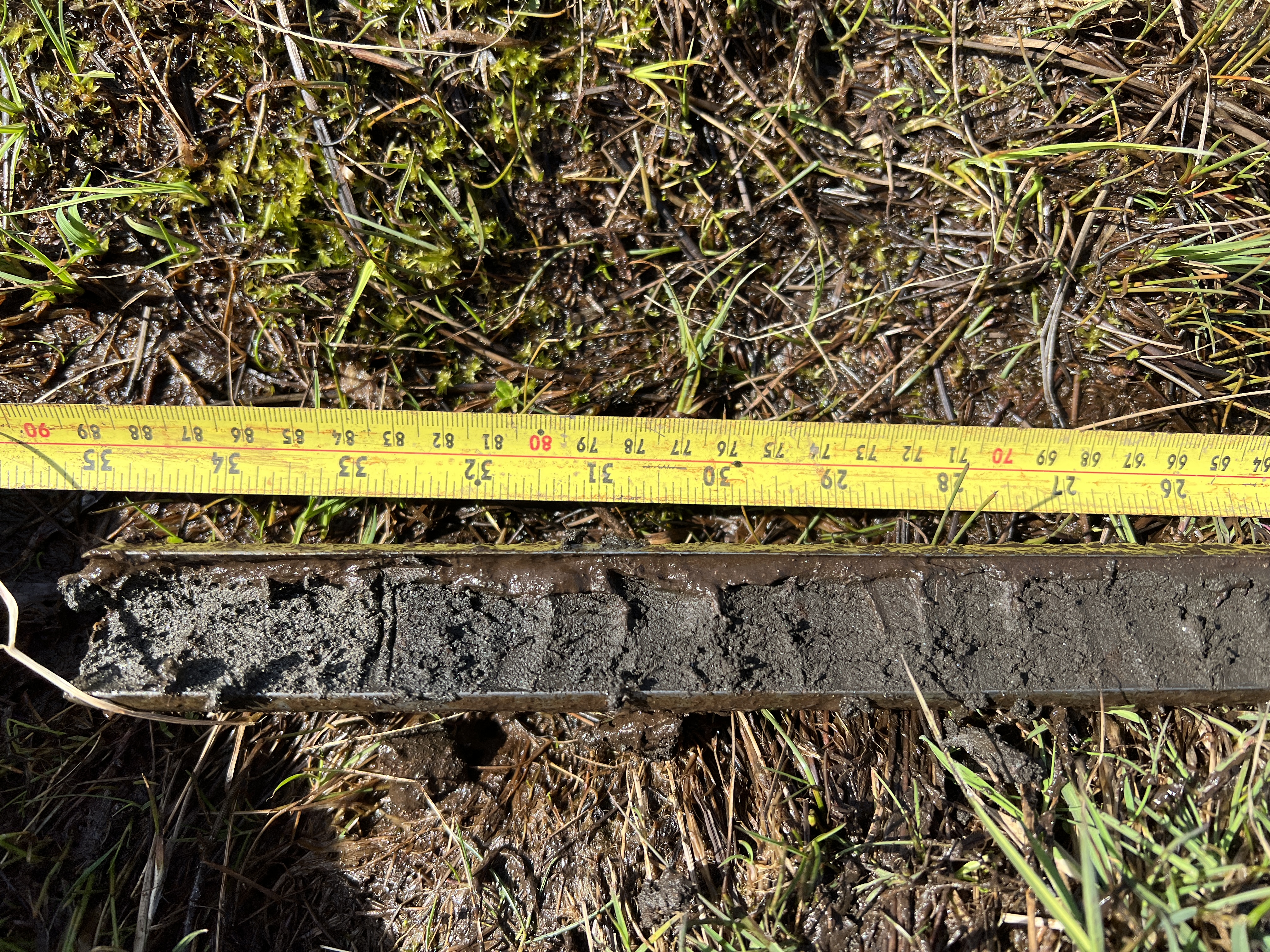 Sediment core with tape measure