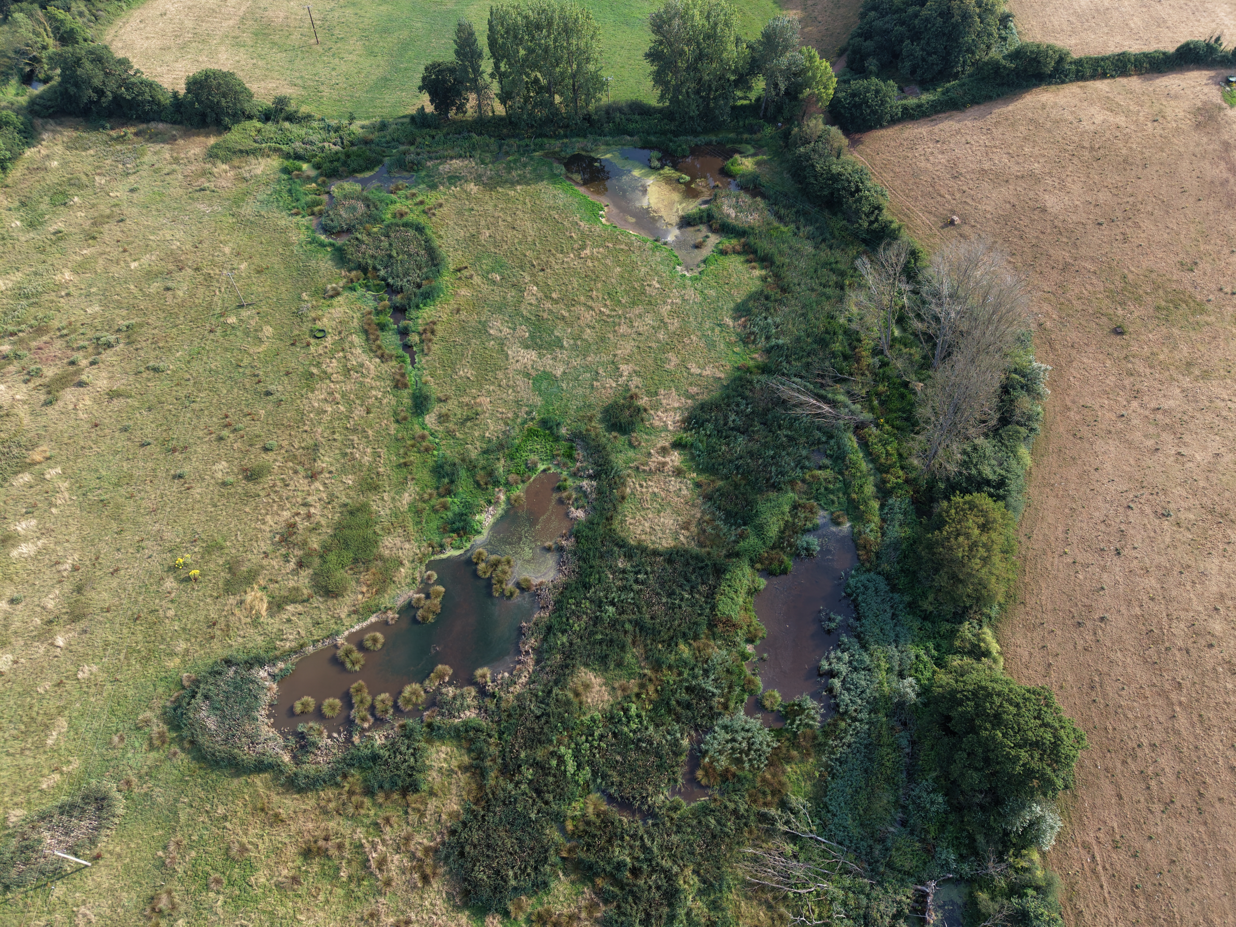 Aerial view of ponds and surrounding vegetation created by beavers