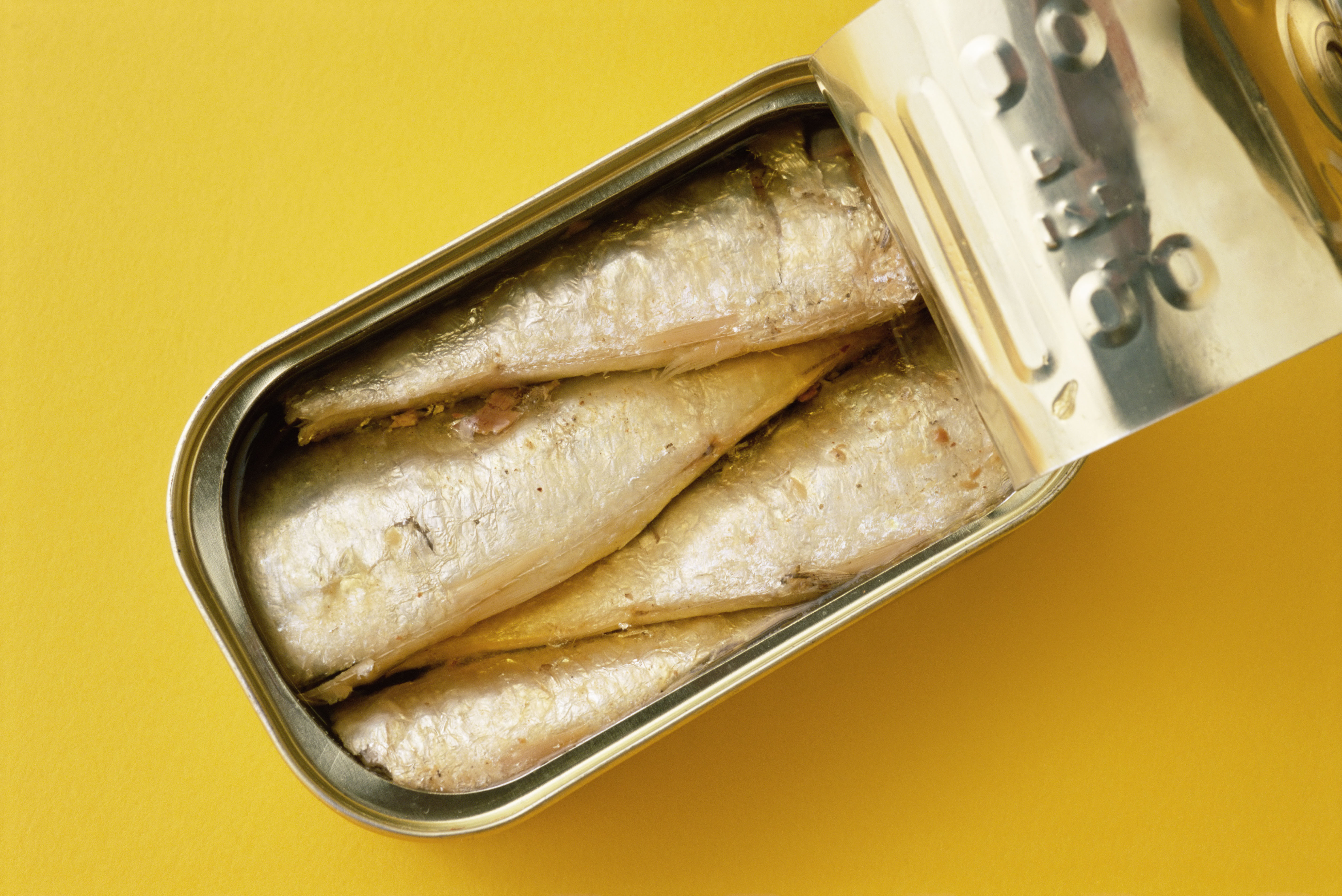 Sardines in a tin on a yellow background 
