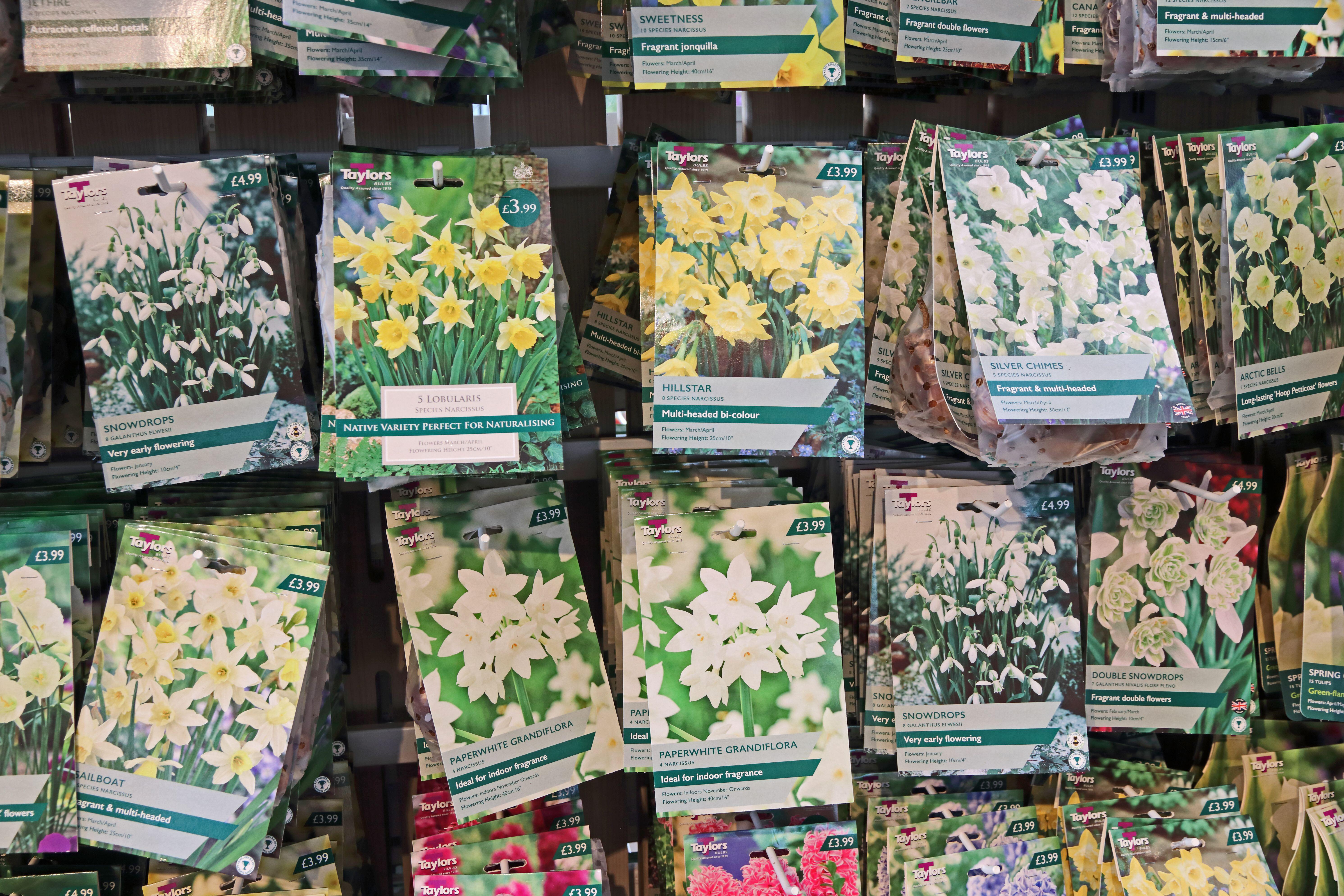 Packets of bulbs on display in a garden centre (Alamy/PA)