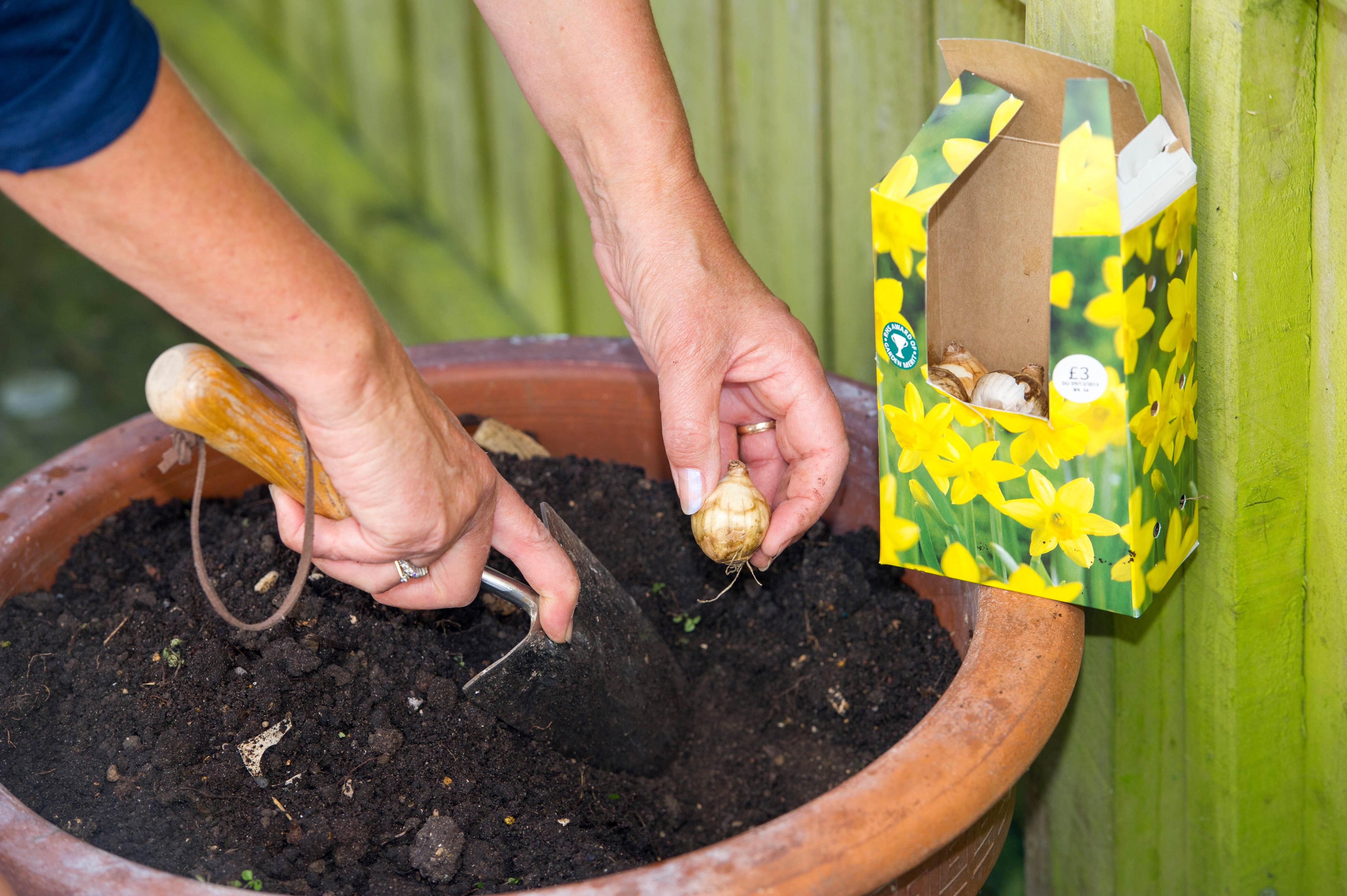 A woman planting bulbs in pots (Alamy/PA)