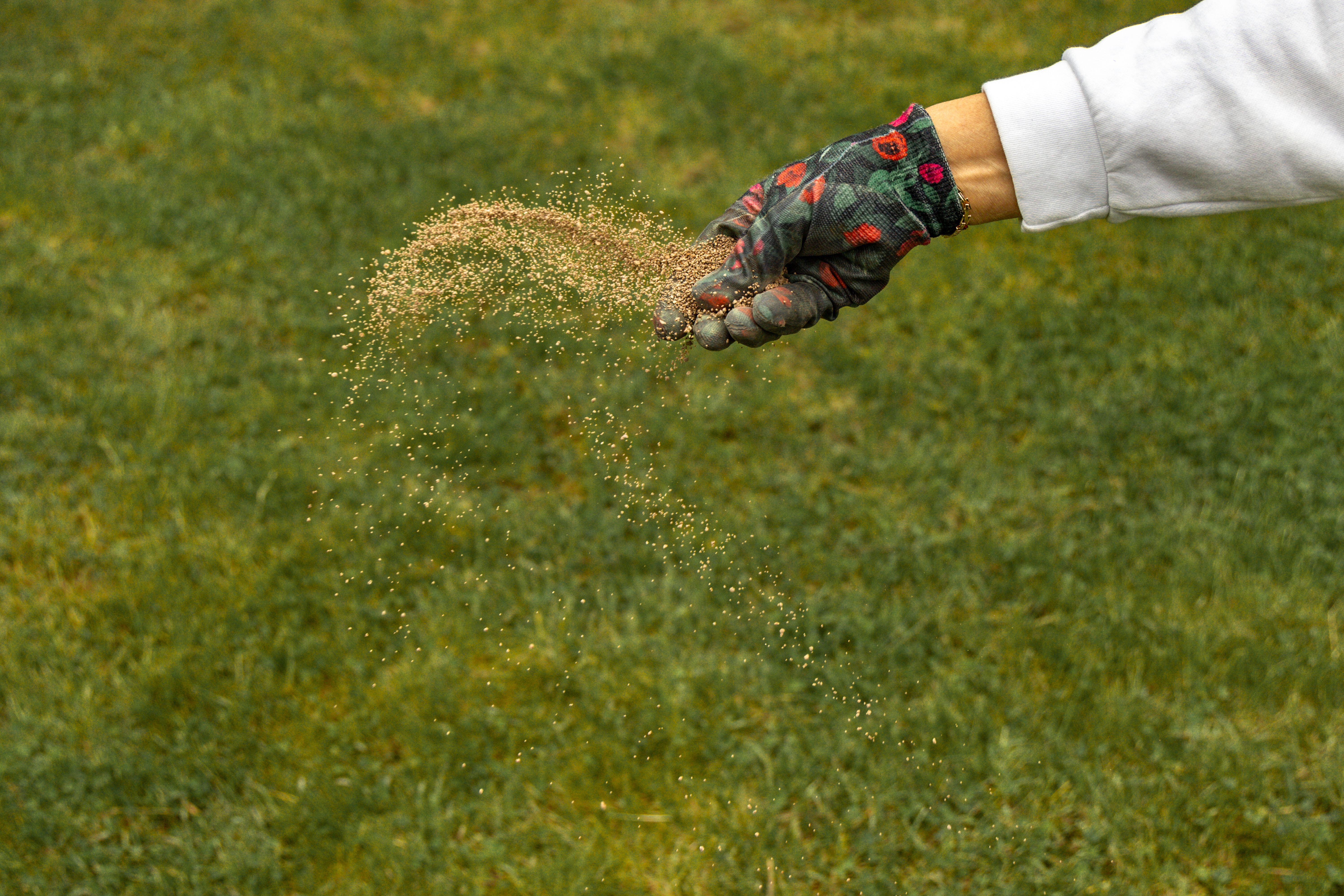 Feeding a lawn (Alamy/PA)