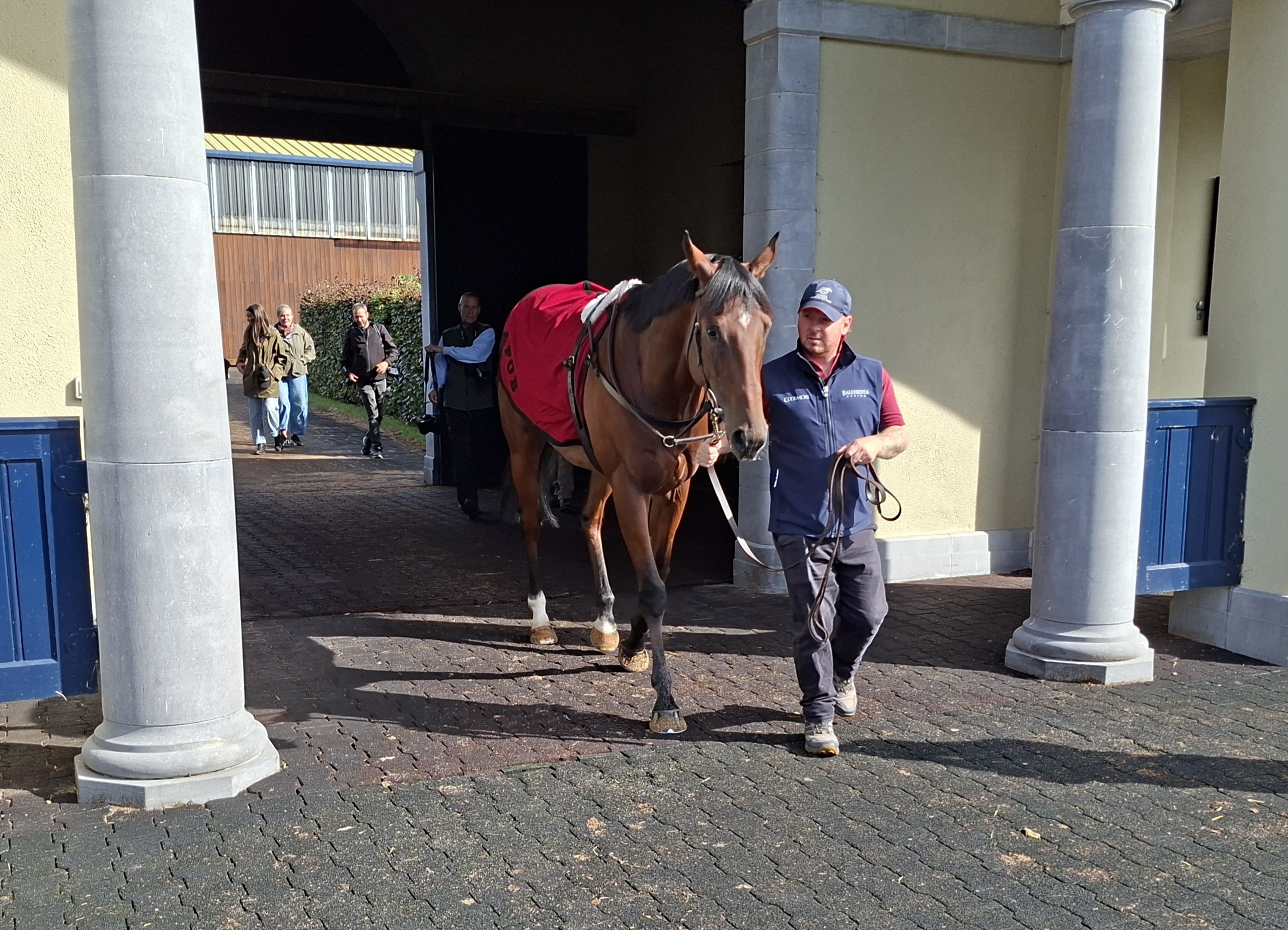 Constitution River is one of Aidan O'Brien's big guns