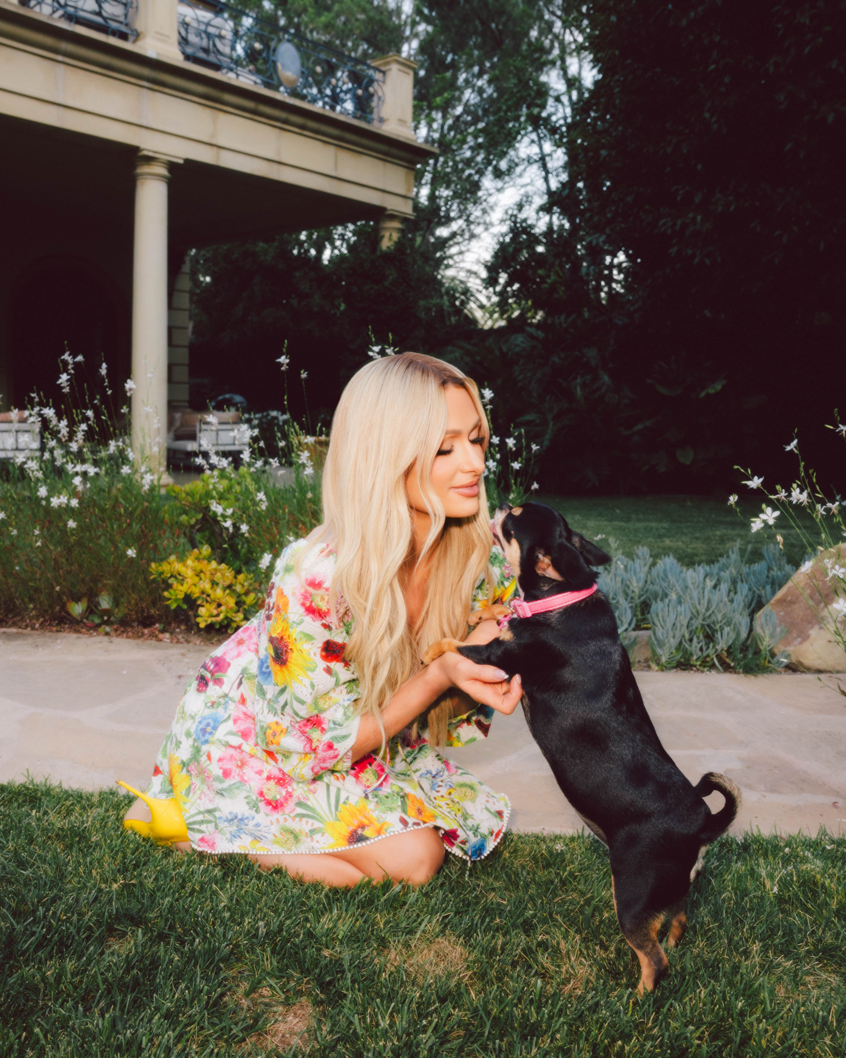 Paris Hilton in a garden playing with one of her dogs 
