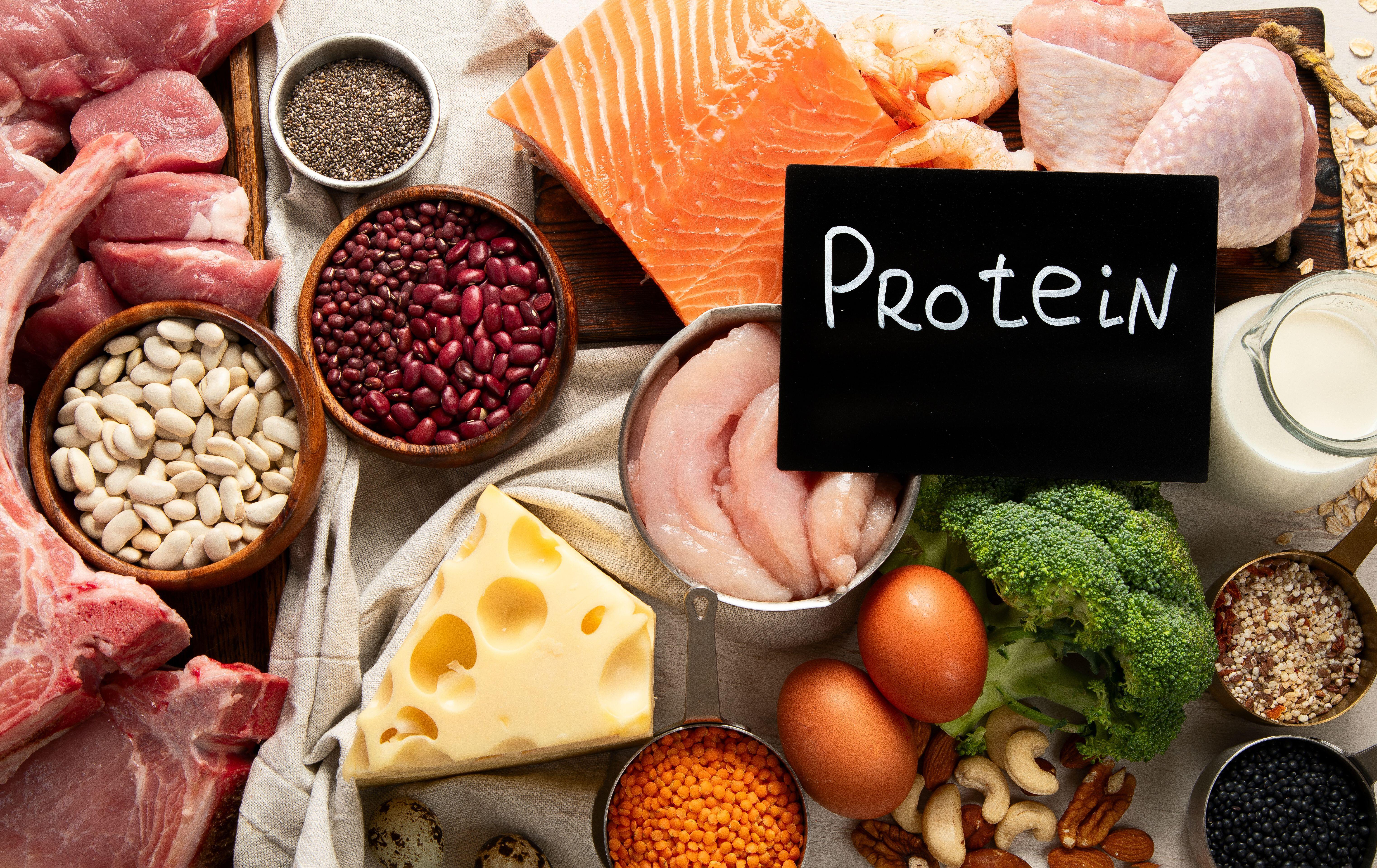 Protein