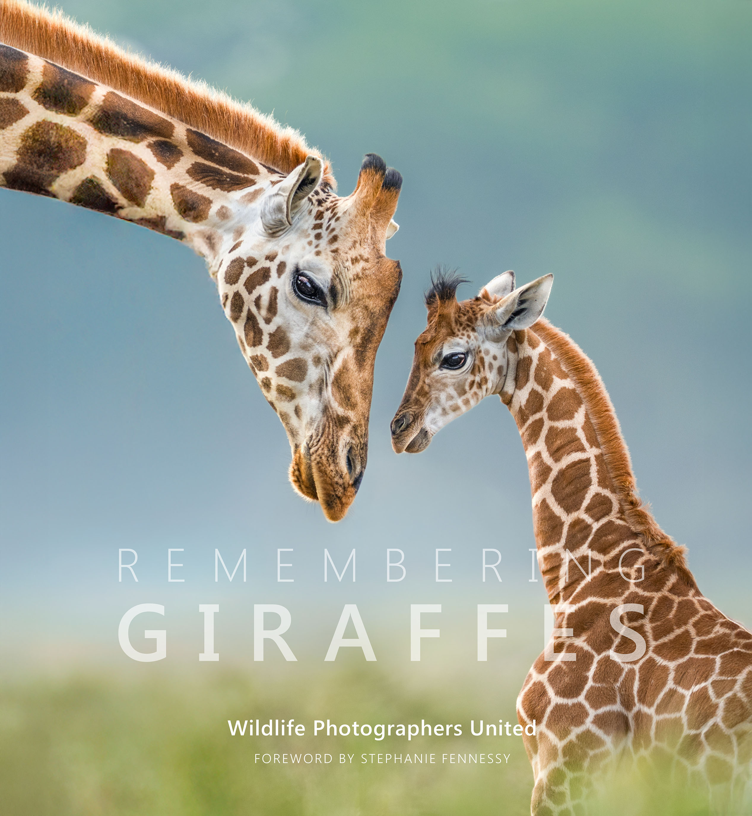 New wildlife photographic book celebrates Africa’s majestic giraffes ...
