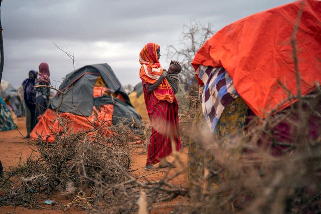 Somalia Drought Deaths
