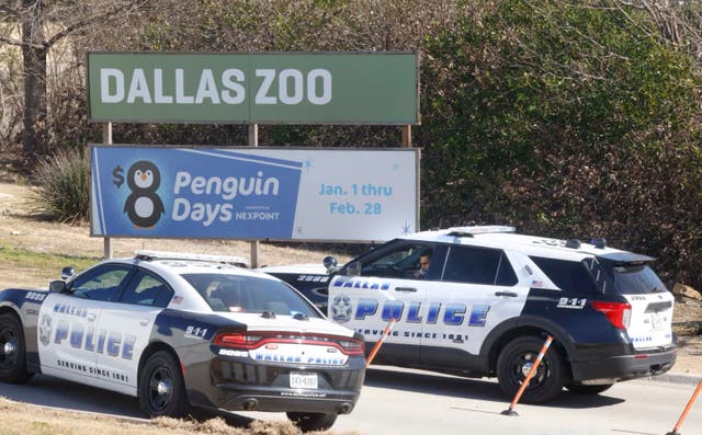 Dallas Zoo 