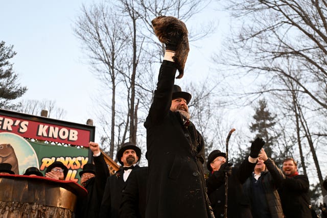 Groundhog Club handler AJ Dereume holds Punxsutawney Phil