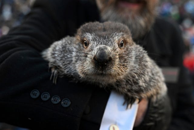Groundhog Day Things to Know