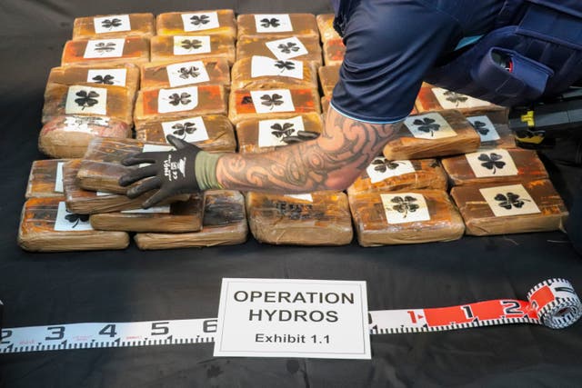 Cocaine found floating on the surface of the Pacific Ocean is stacked on a table in Auckland, New Zealand