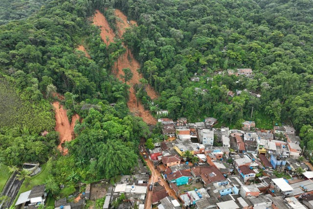 Brazil Rains Search