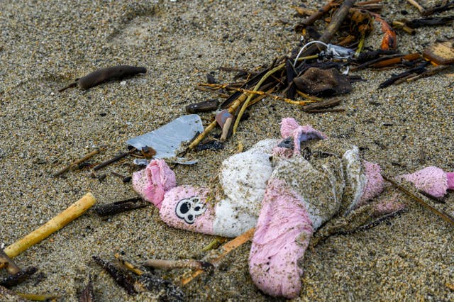 Personal belongings on the shore