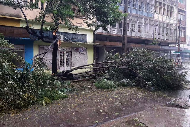 Trees are strewn across a street in Quelimane, Mozambique