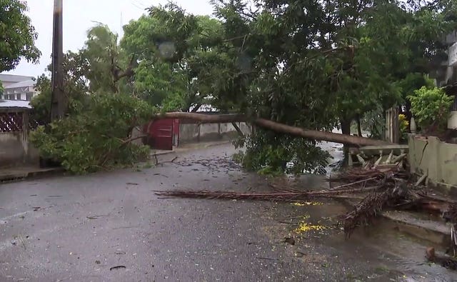 A tree lays across a street in Quelimane, Mozambique