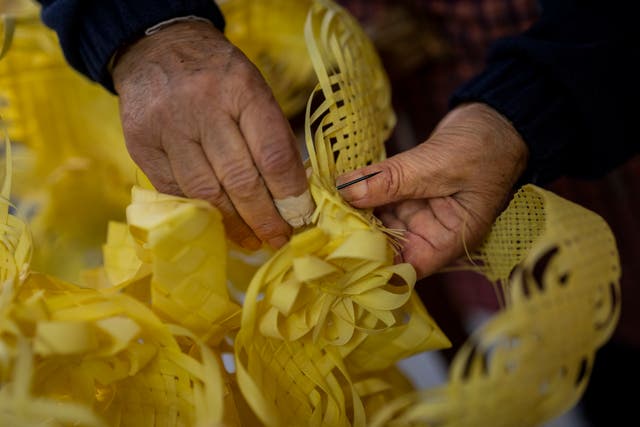 Angela Pastor decorates a palm